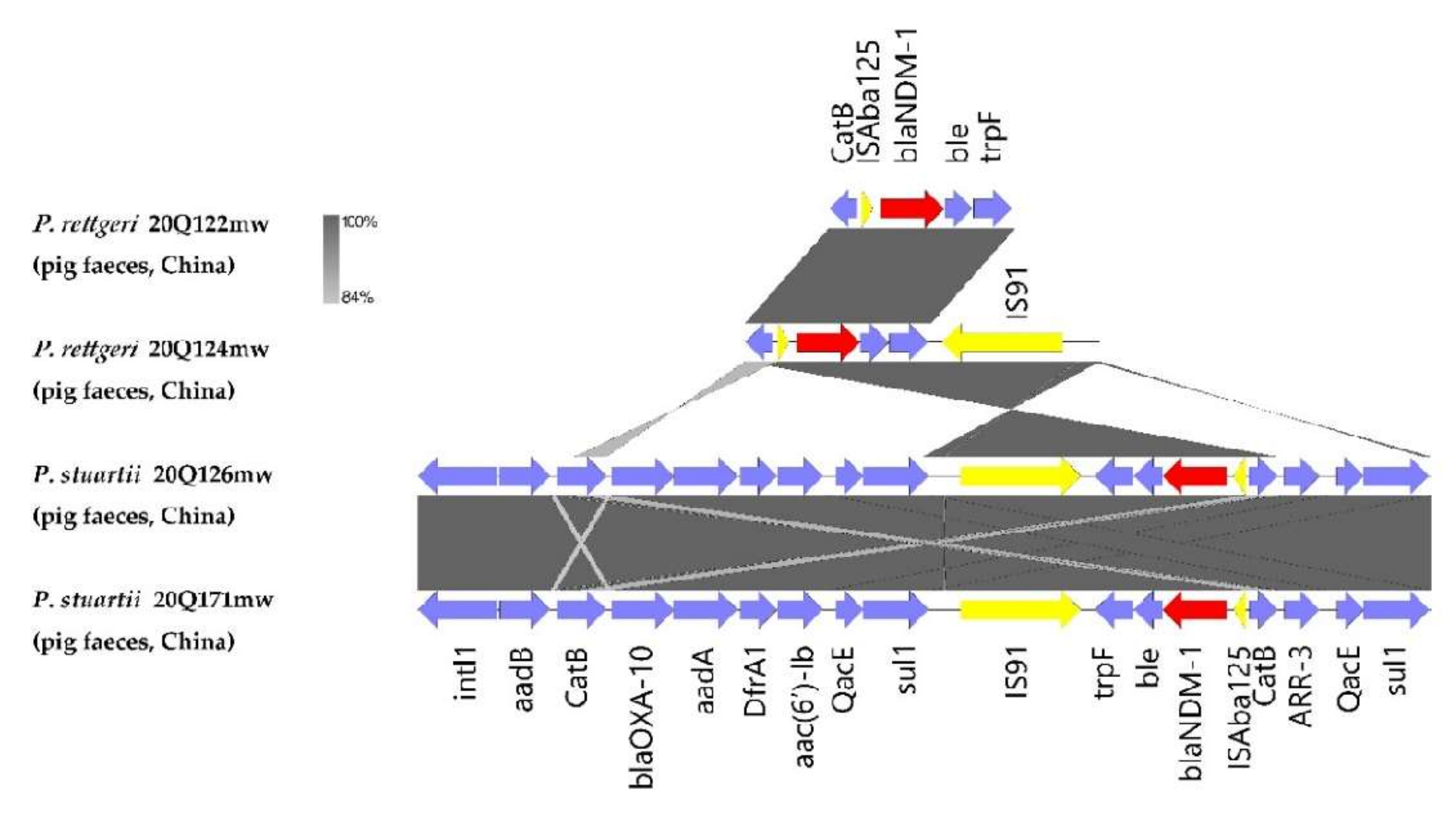 Antibiotics 11 00713 g001