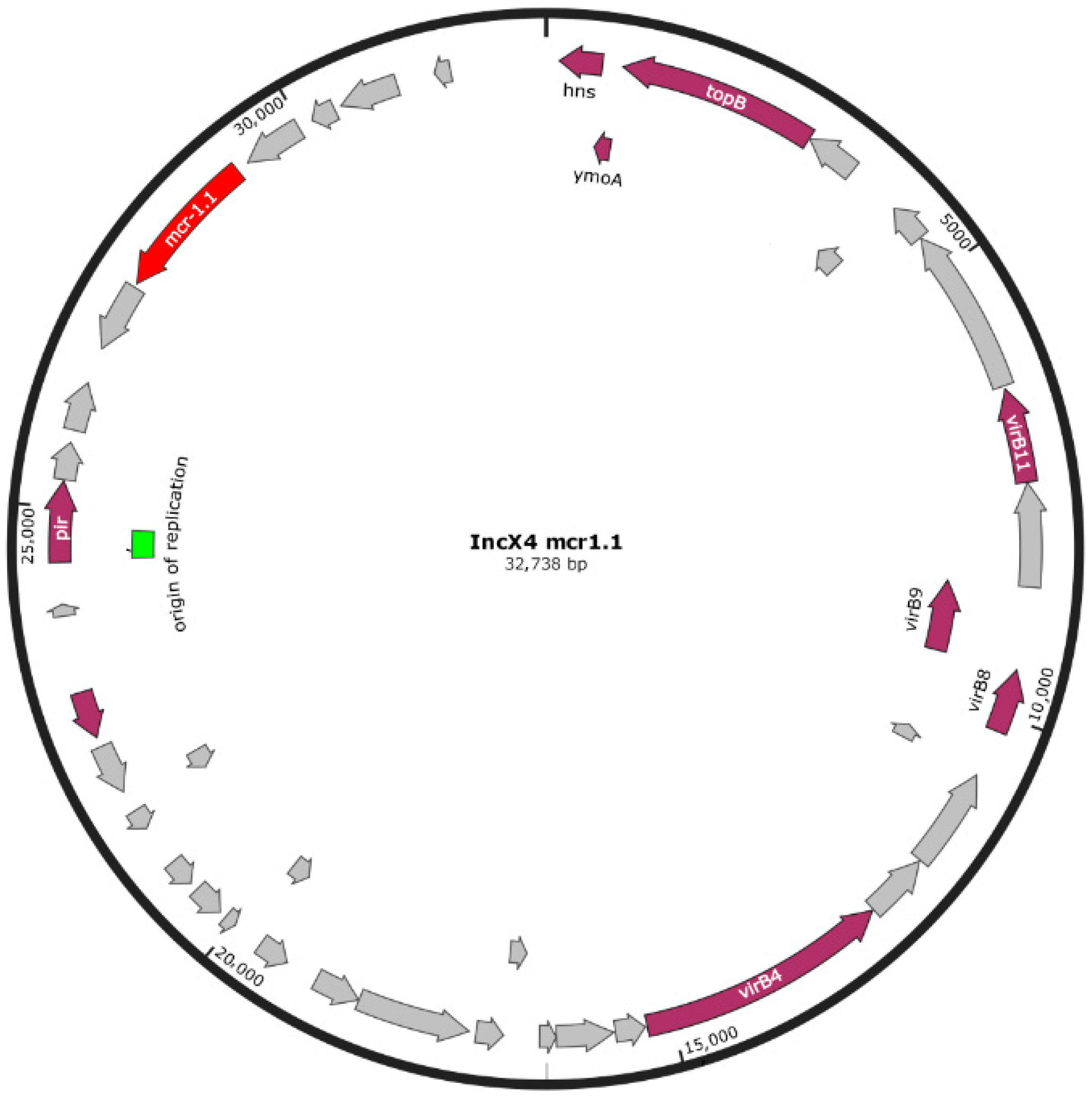Antibiotics 11 00728 g001