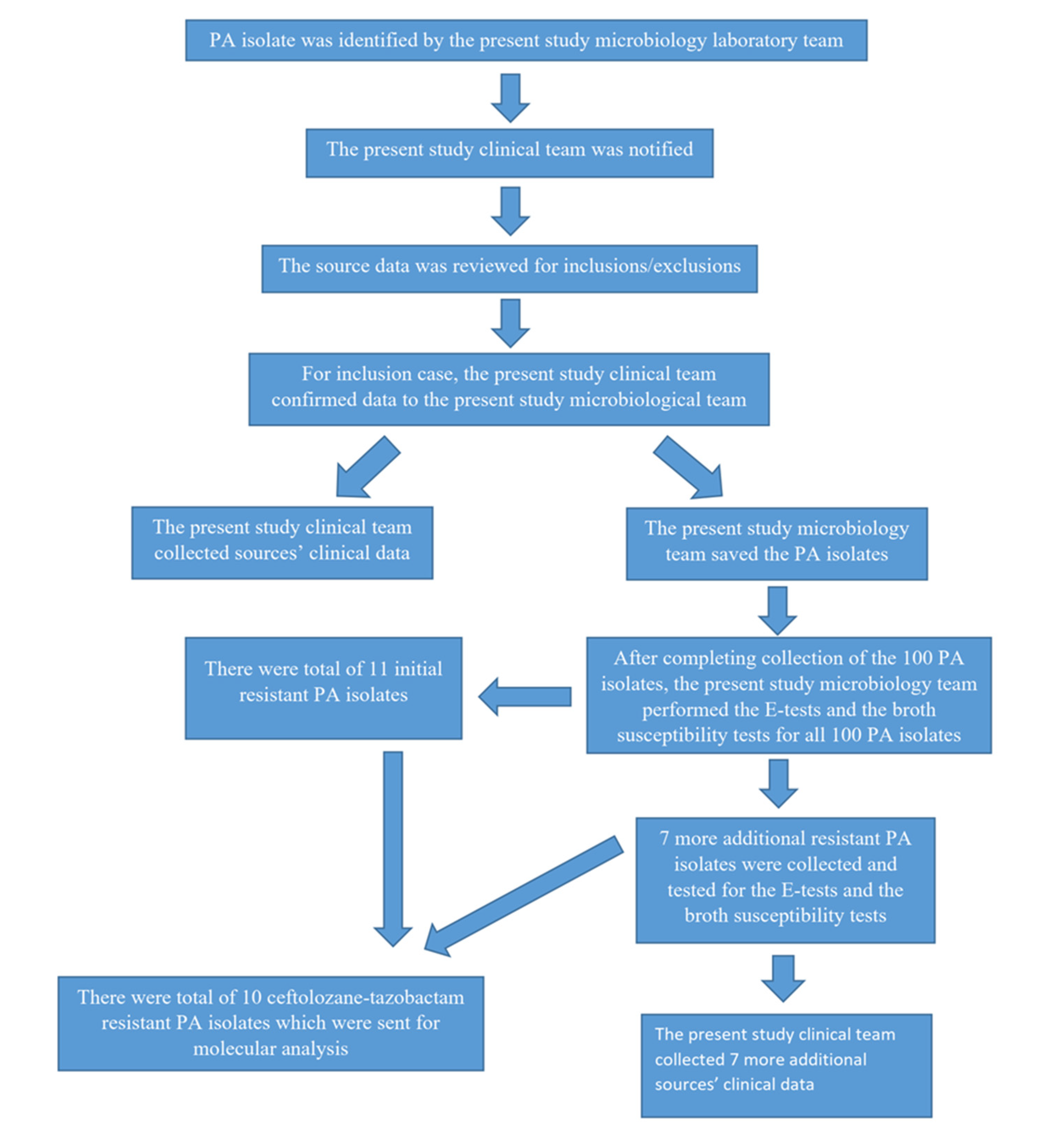 Antibiotics 11 00732 g001