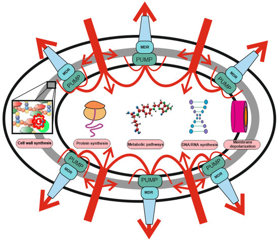 Antibiotics, Free Full-Text