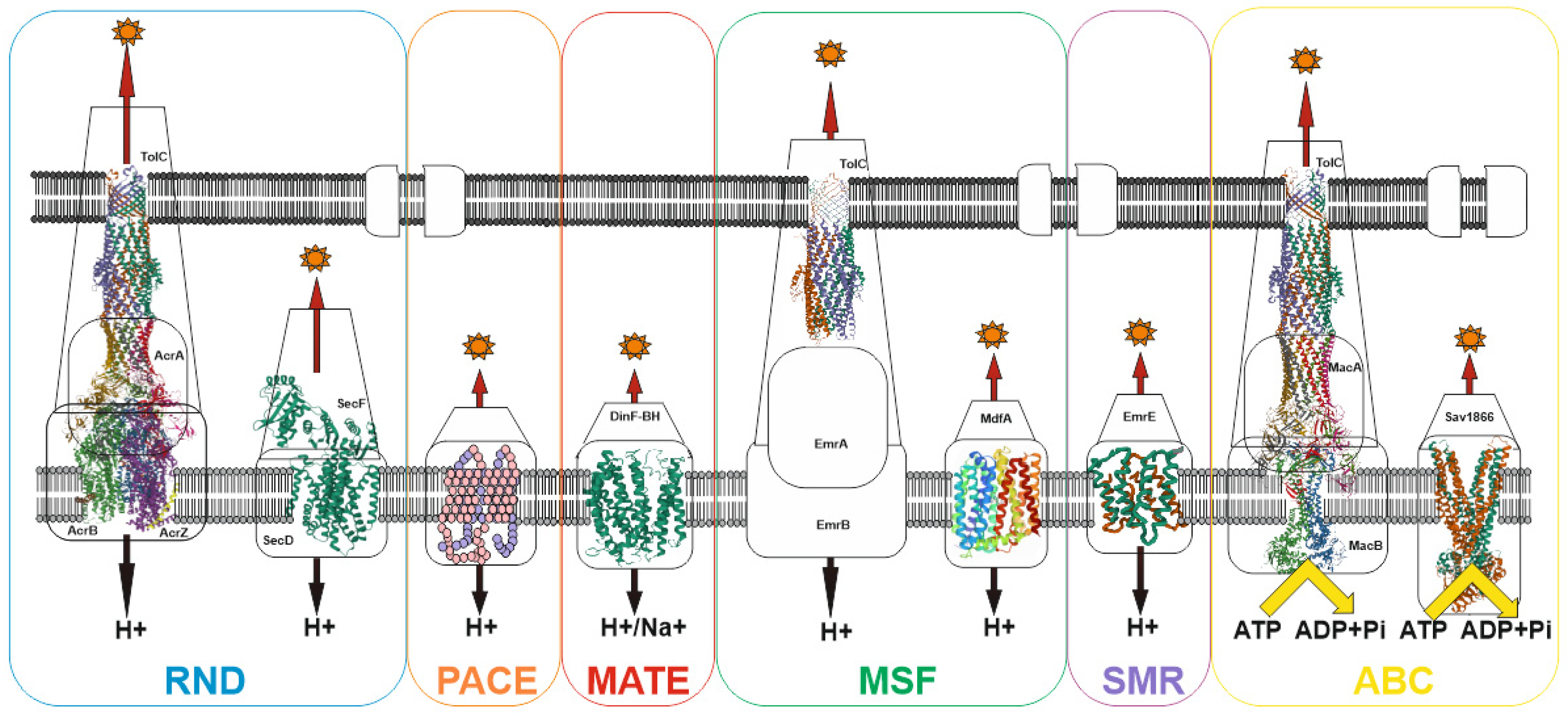 Antibiotics 11 00734 g002 550