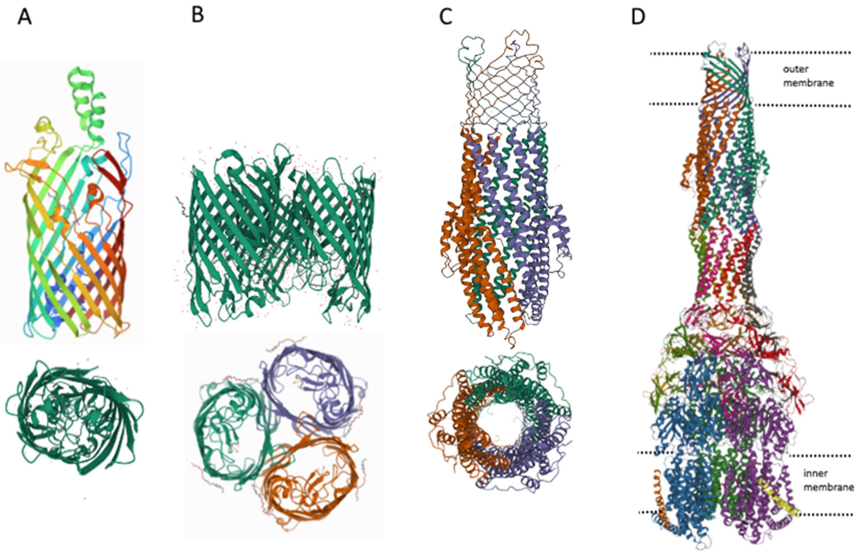 Antibiotics 11 00734 g003 550