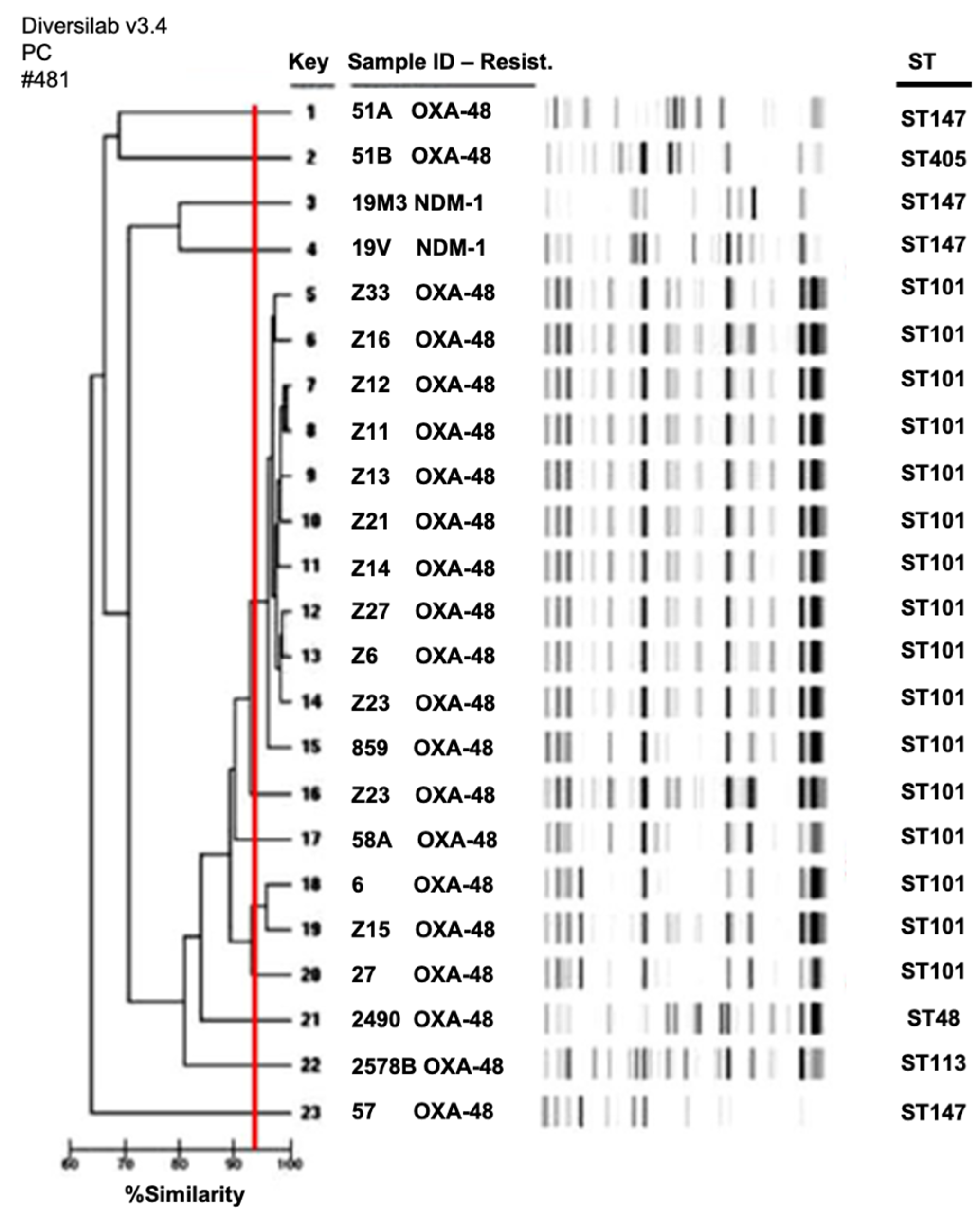 Antibiotics 11 00750 g001