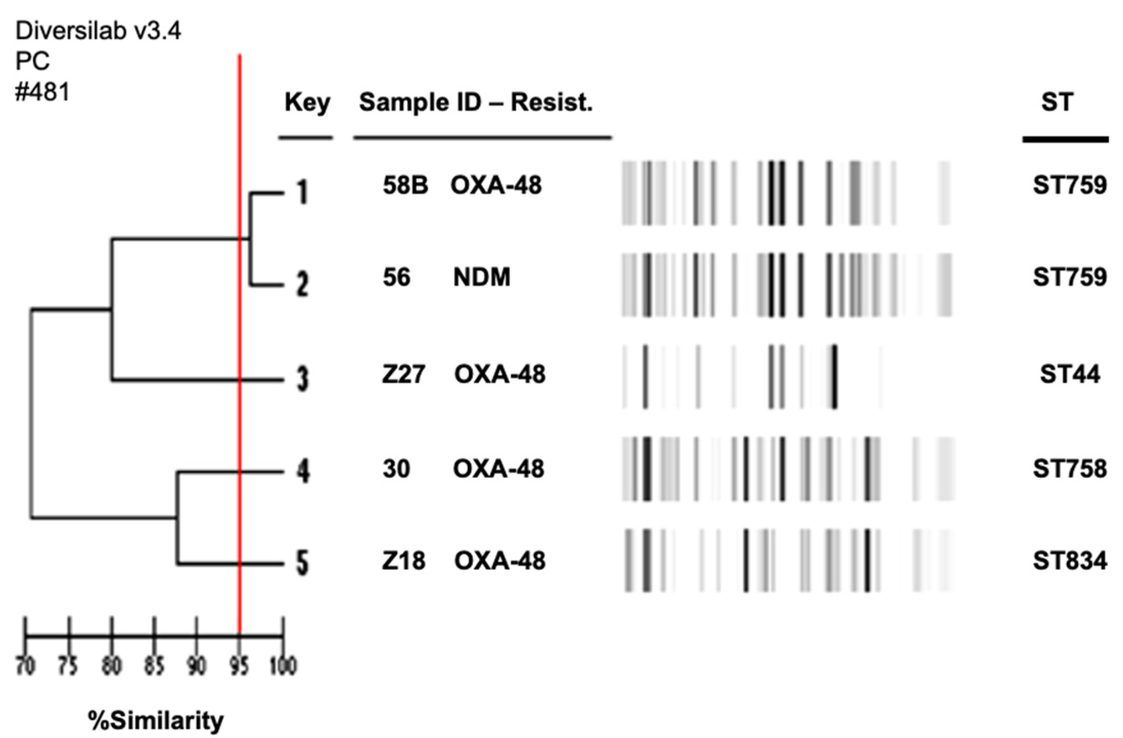 Antibiotics 11 00750 g002