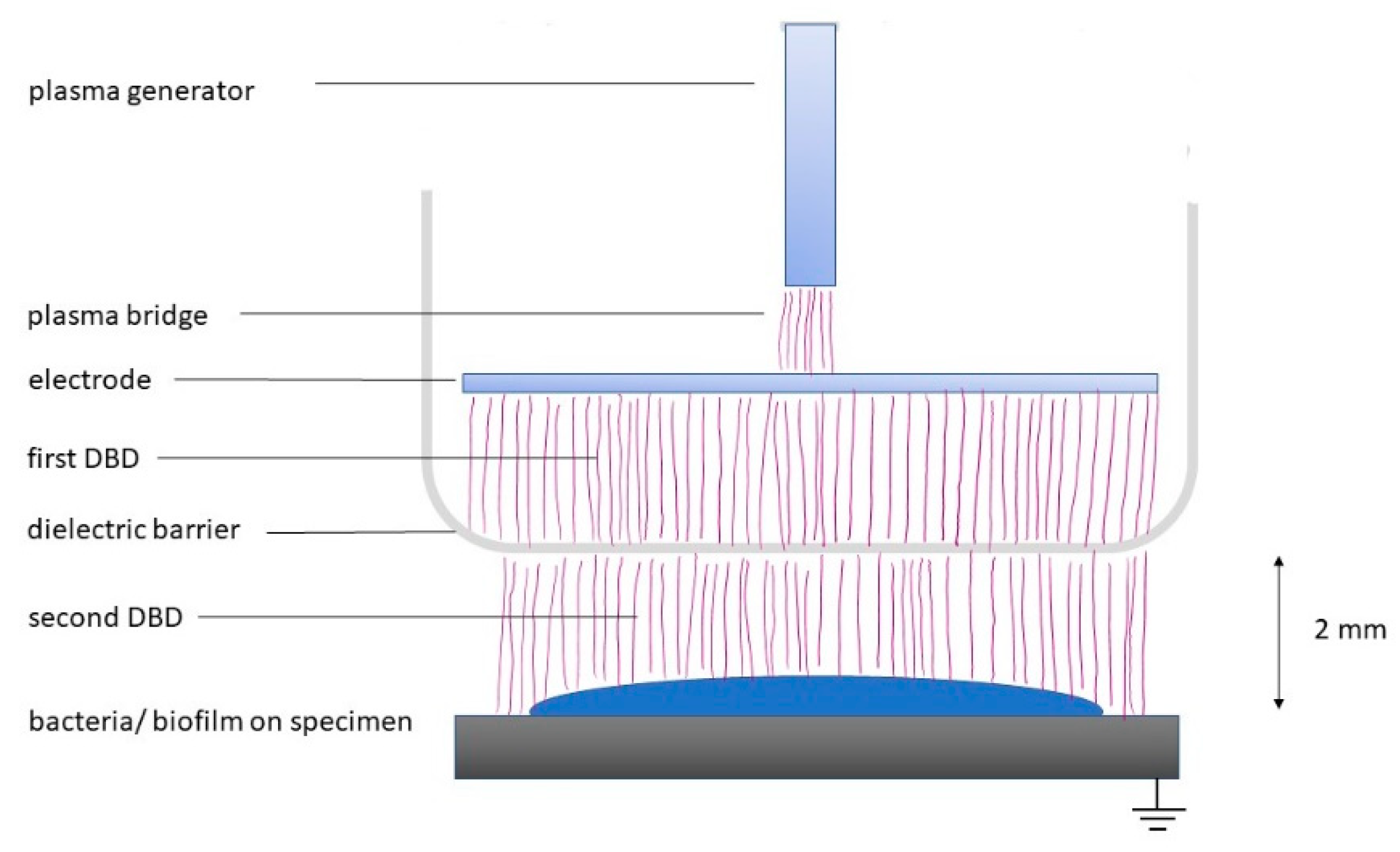 Antibiotics 11 00752 g001