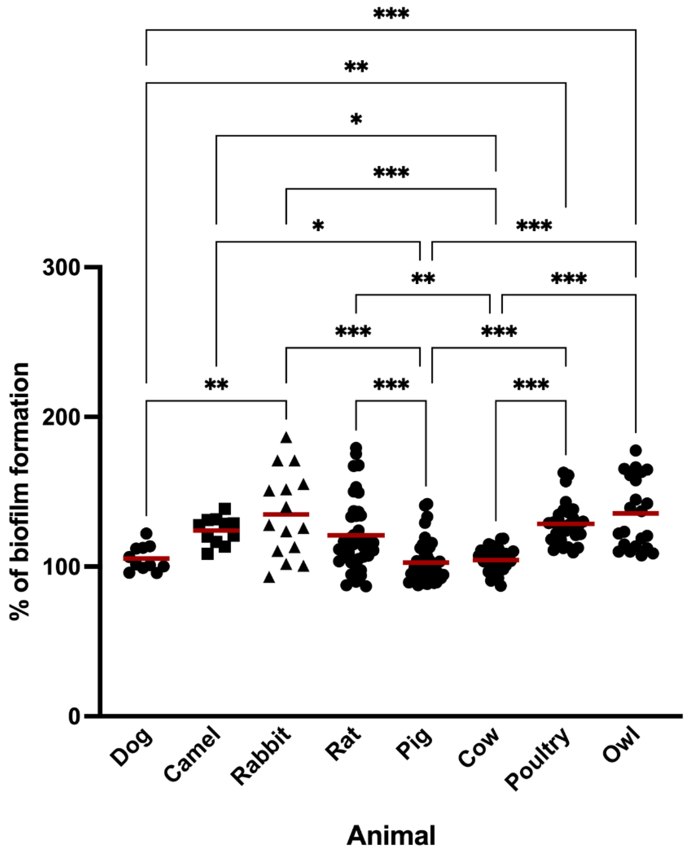 Antibiotics | Free Full-Text | Biofilm Formation of Staphylococcus aureus from Pets, Livestock, and Wild Animals: Relationship with Clonal Lineages and Antimicrobial Resistance Antibiotics | Free Full-Text | Biofilm Formation of Staphylococcus aureus from Pets, Livestock, and Wild Animals: Relationship with Clonal Lineages and Antimicrobial Resistance
