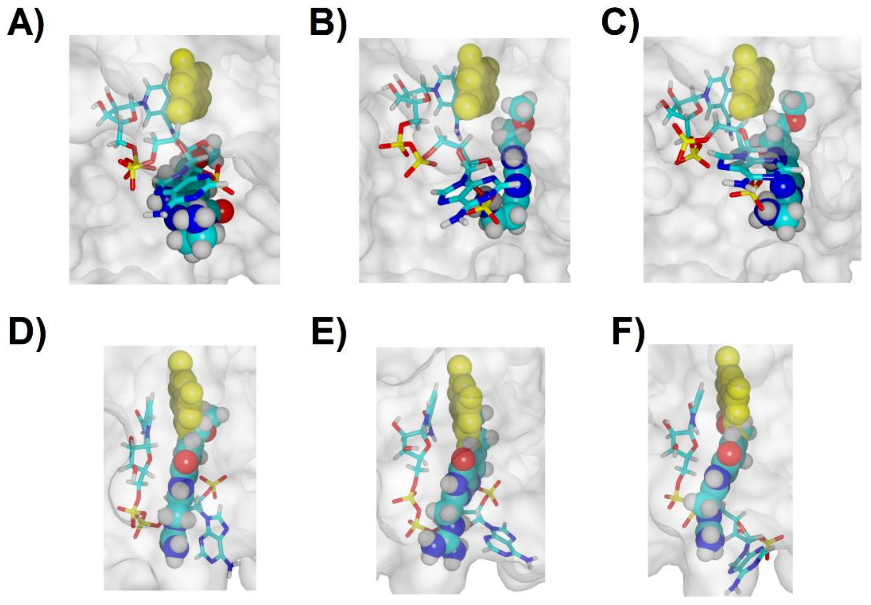 Antibiotics 11 00779 g007 Antibiotics 11 00779 g007