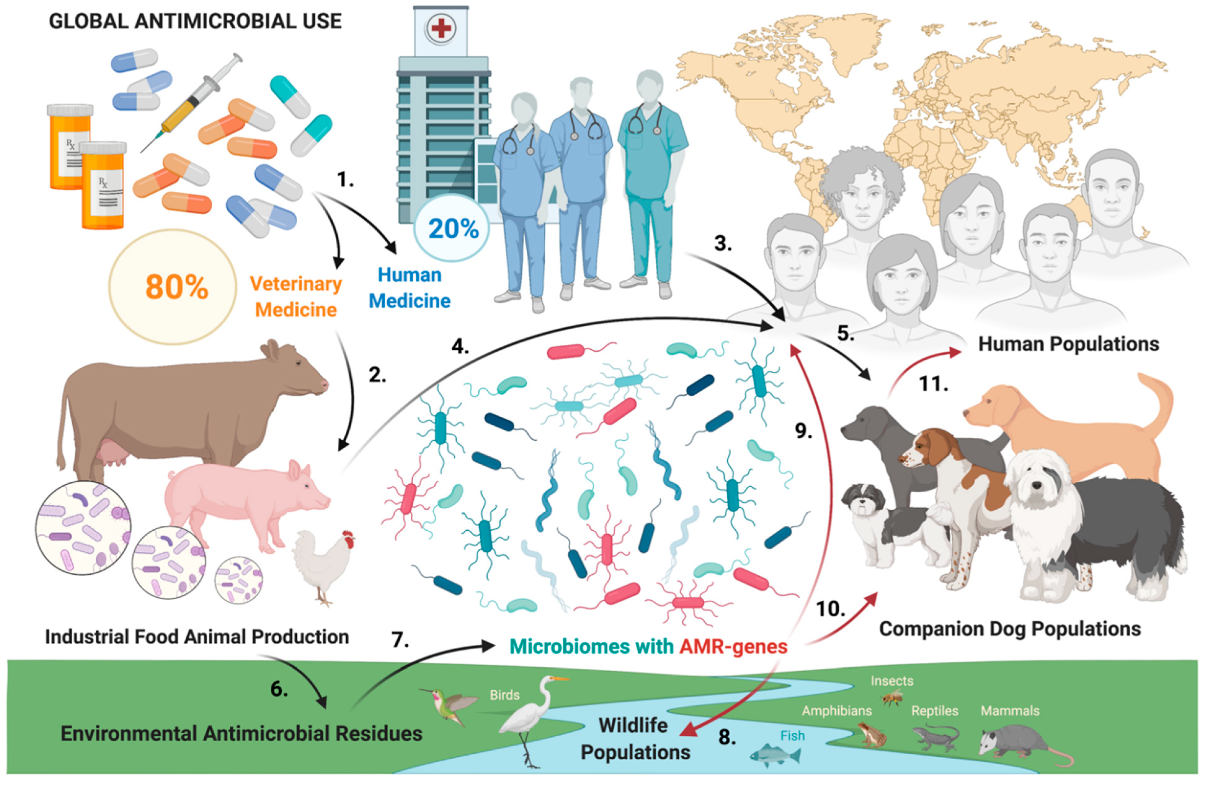 Antibiotics 11 00780 g002 550