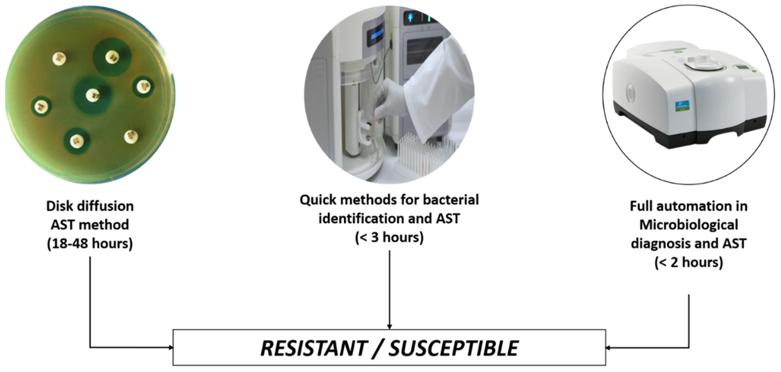 Antibiotics 11 00784 g002 550
