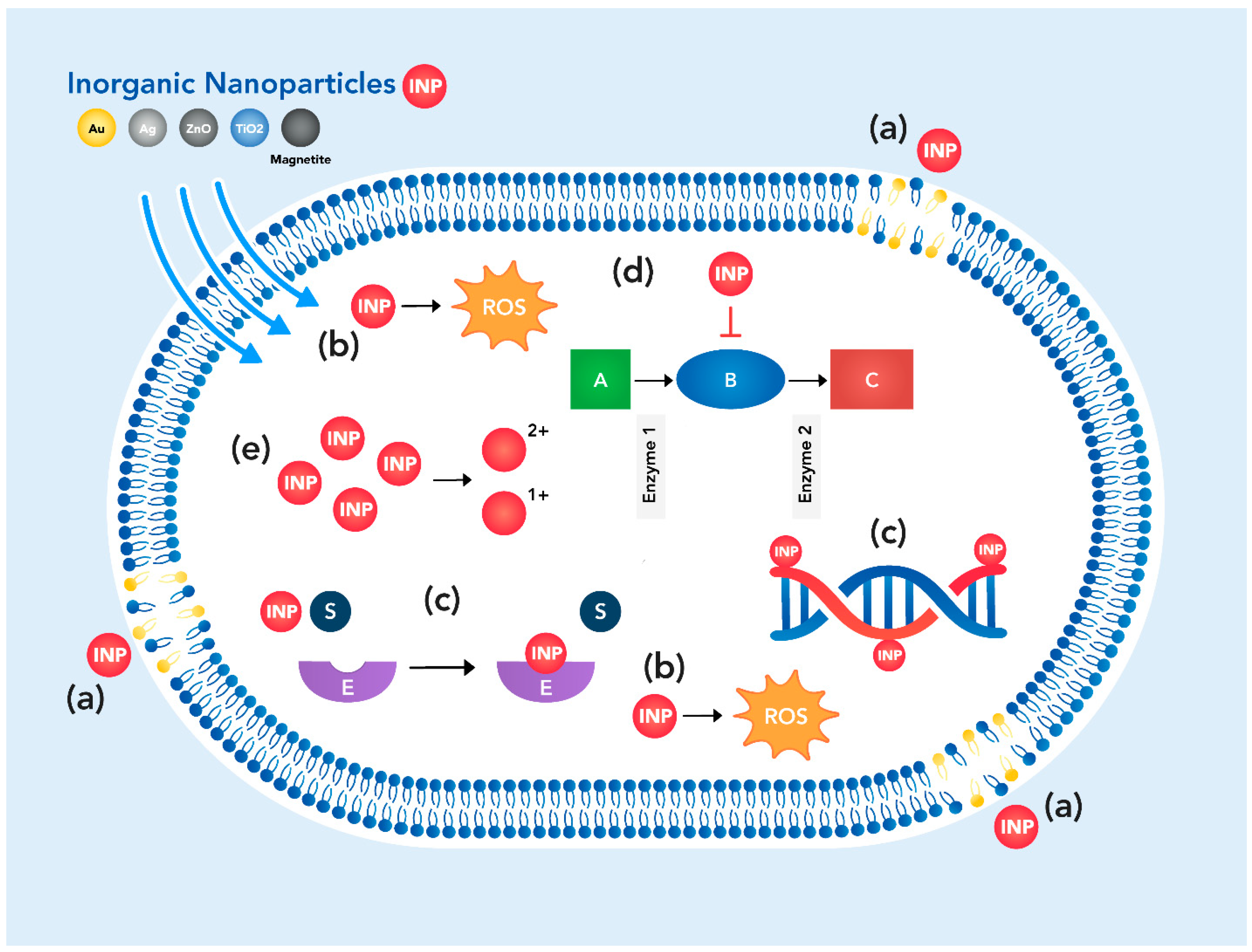 Antibiotics 11 00794 g002