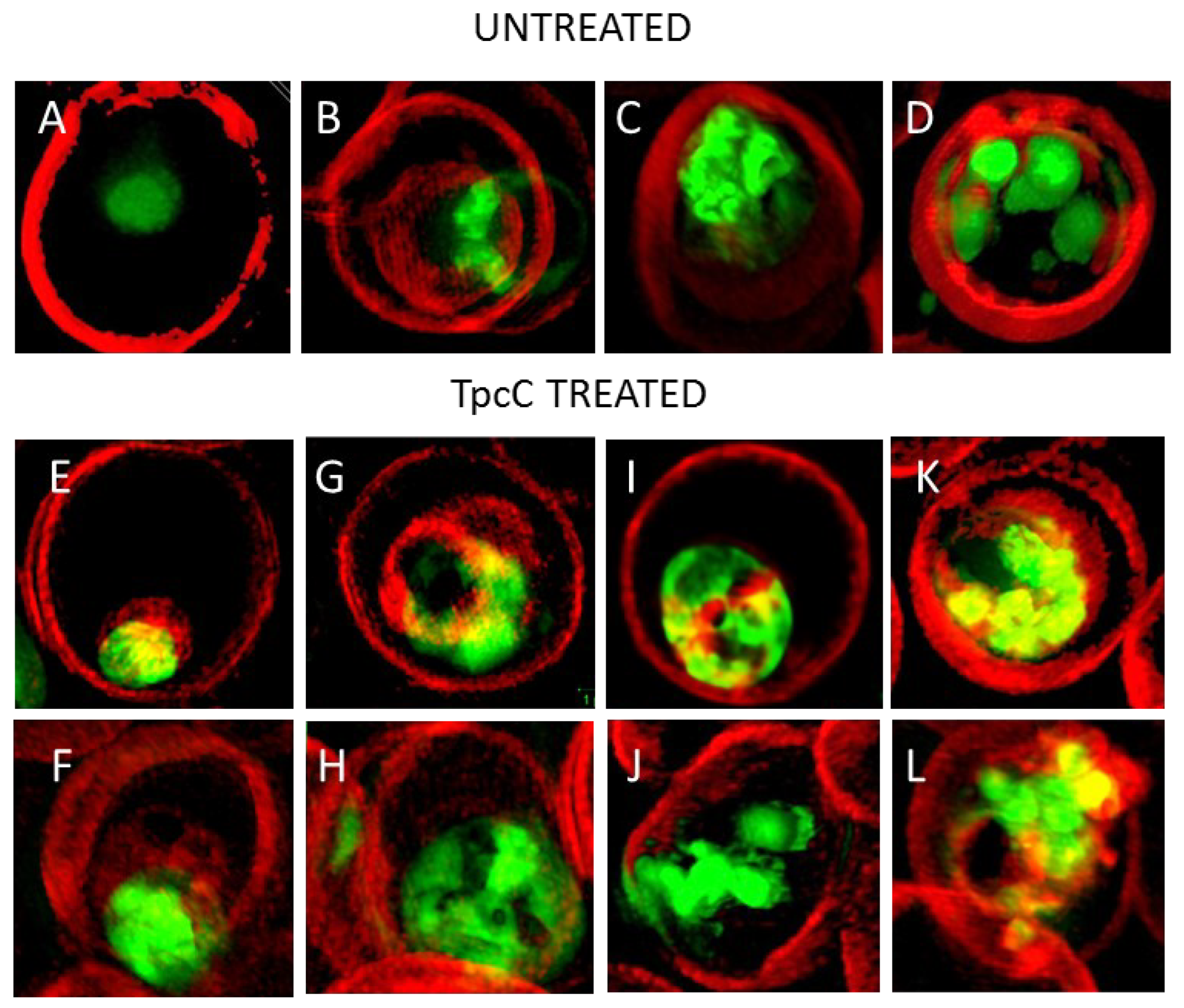 Antibiotics 11 00801 g003
