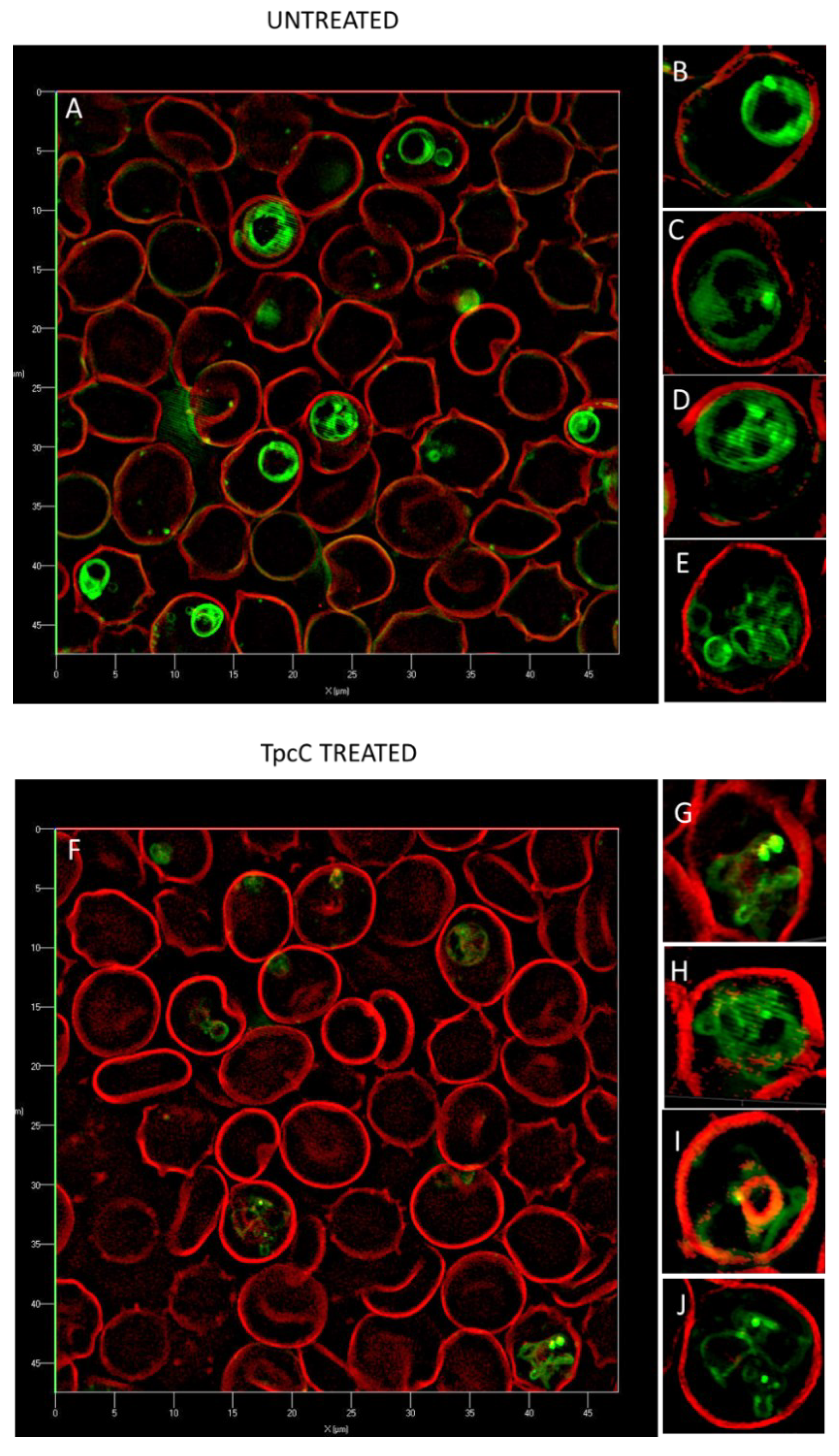 Antibiotics 11 00801 g004