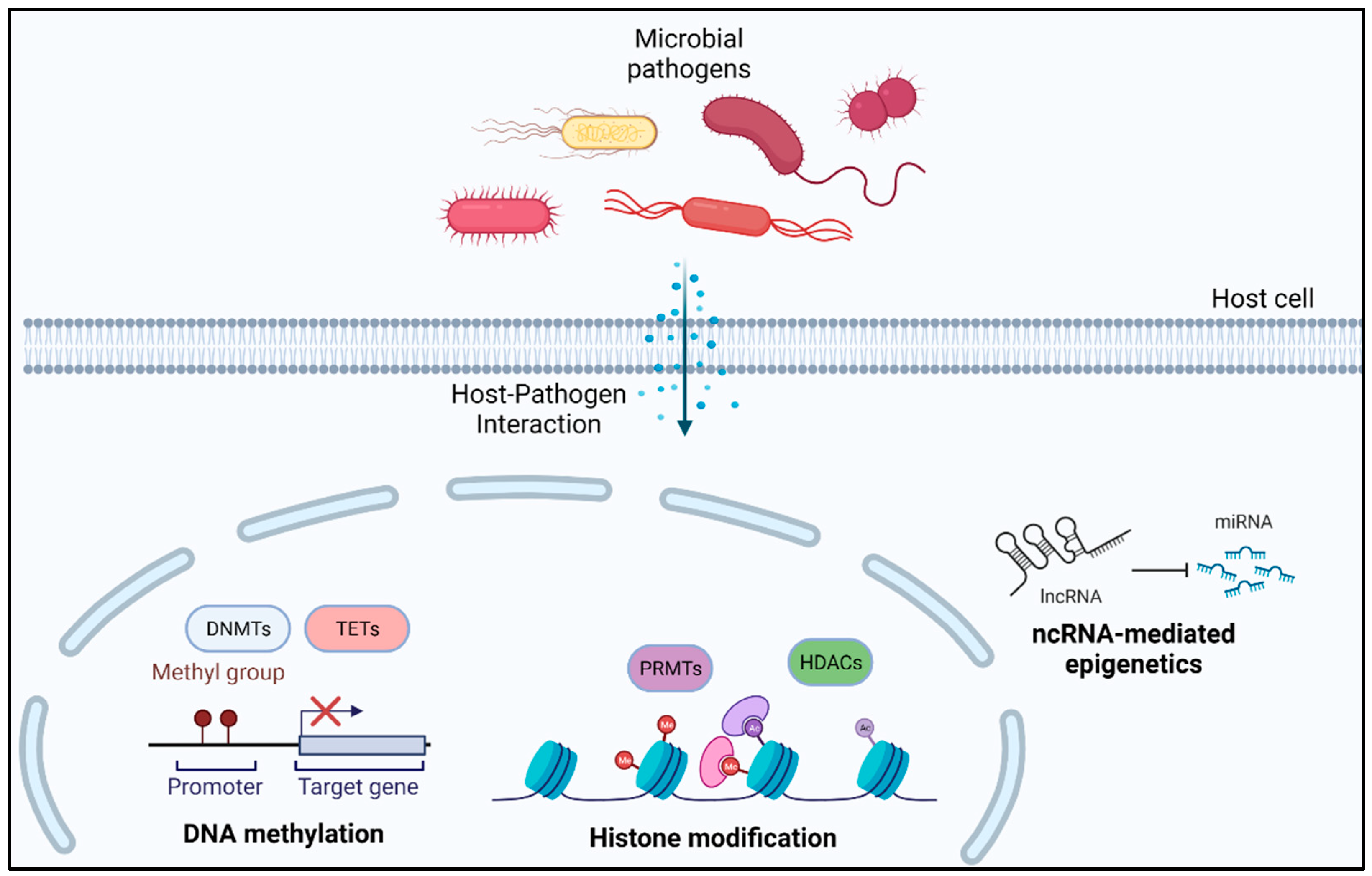 Antibiotics 11 00809 g003 Antibiotics 11 00809 g003