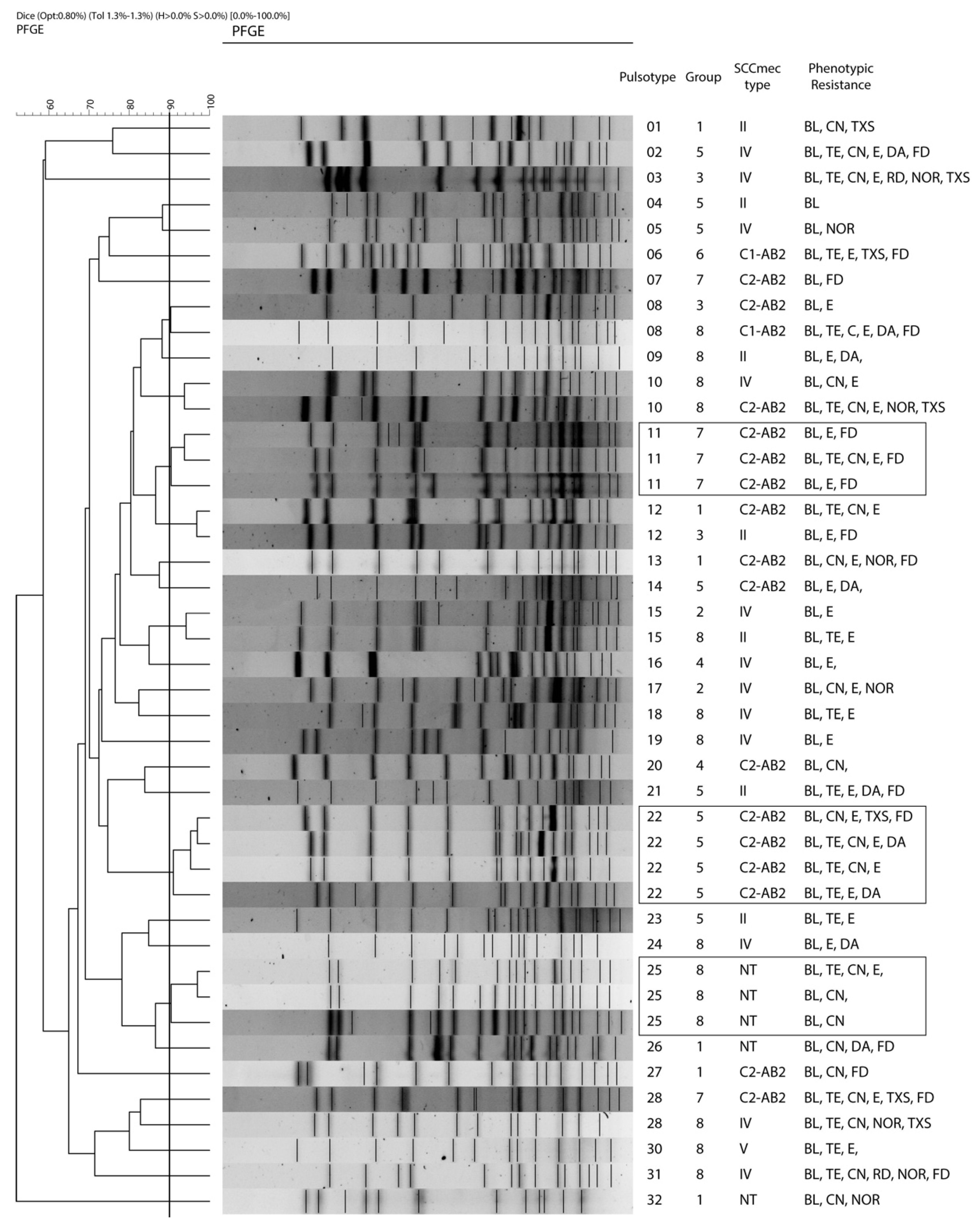Antibiotics 11 00811 g002 550