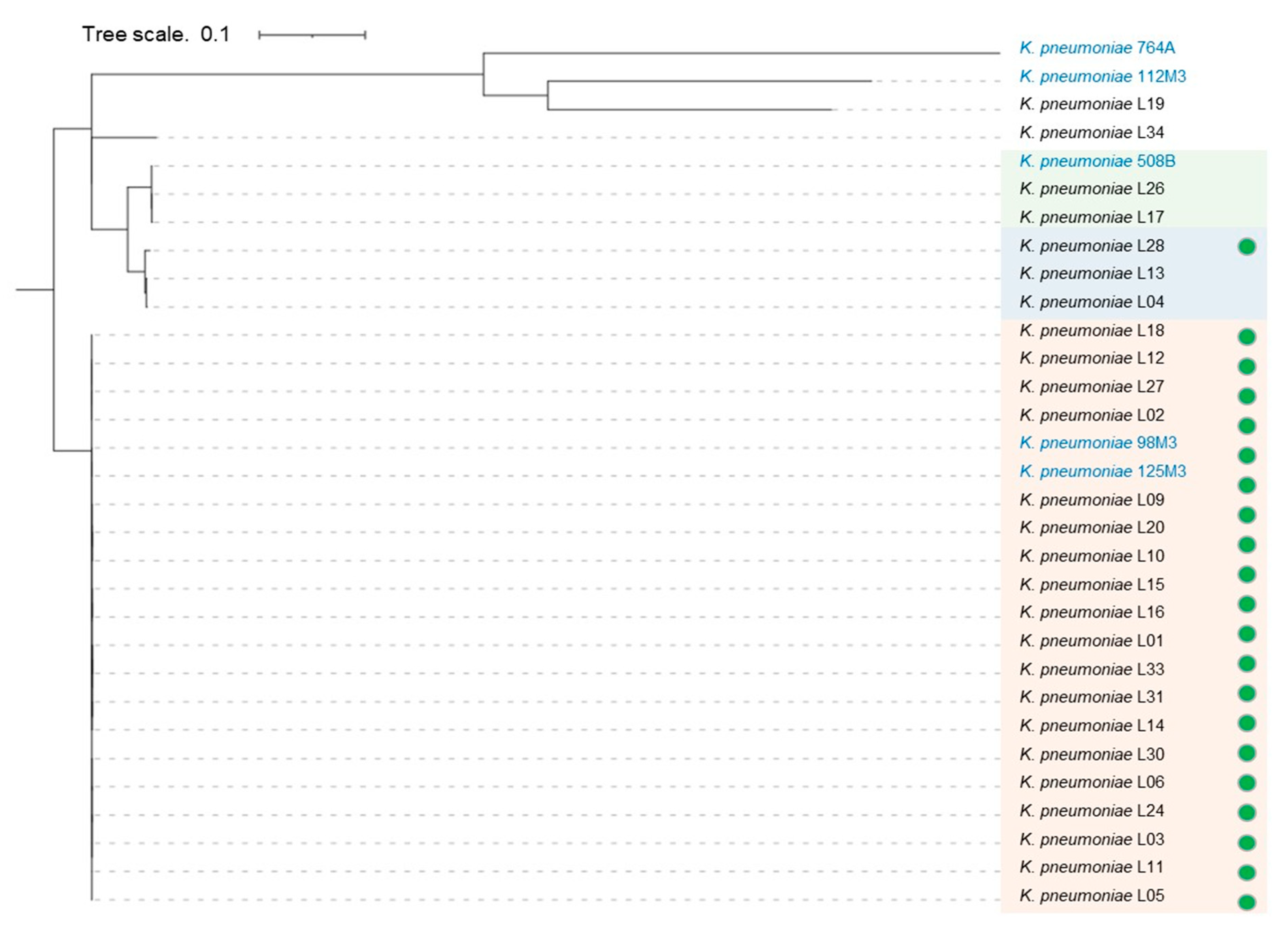 Antibiotics 11 00814 g001