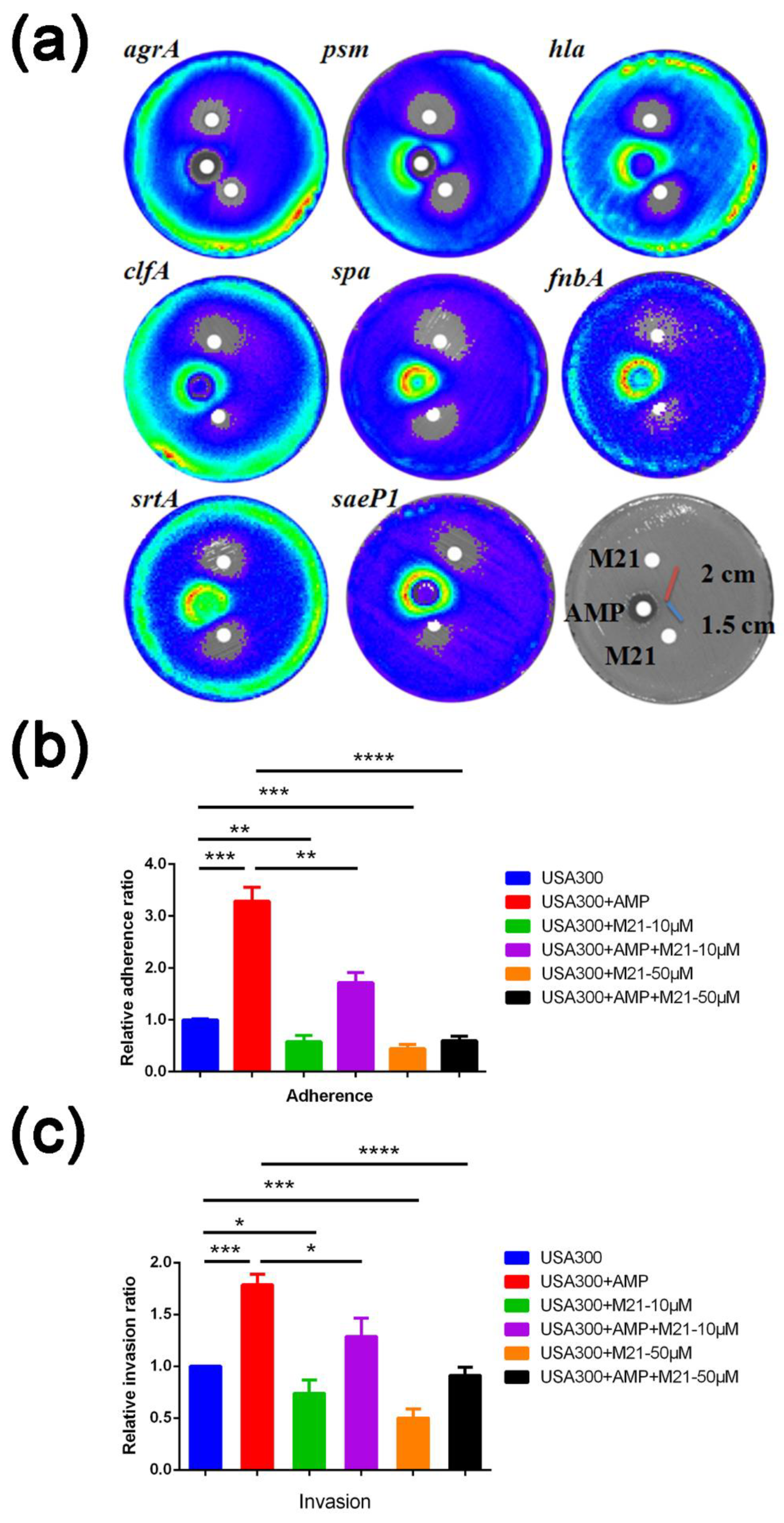 Antibiotics 11 00819 g001