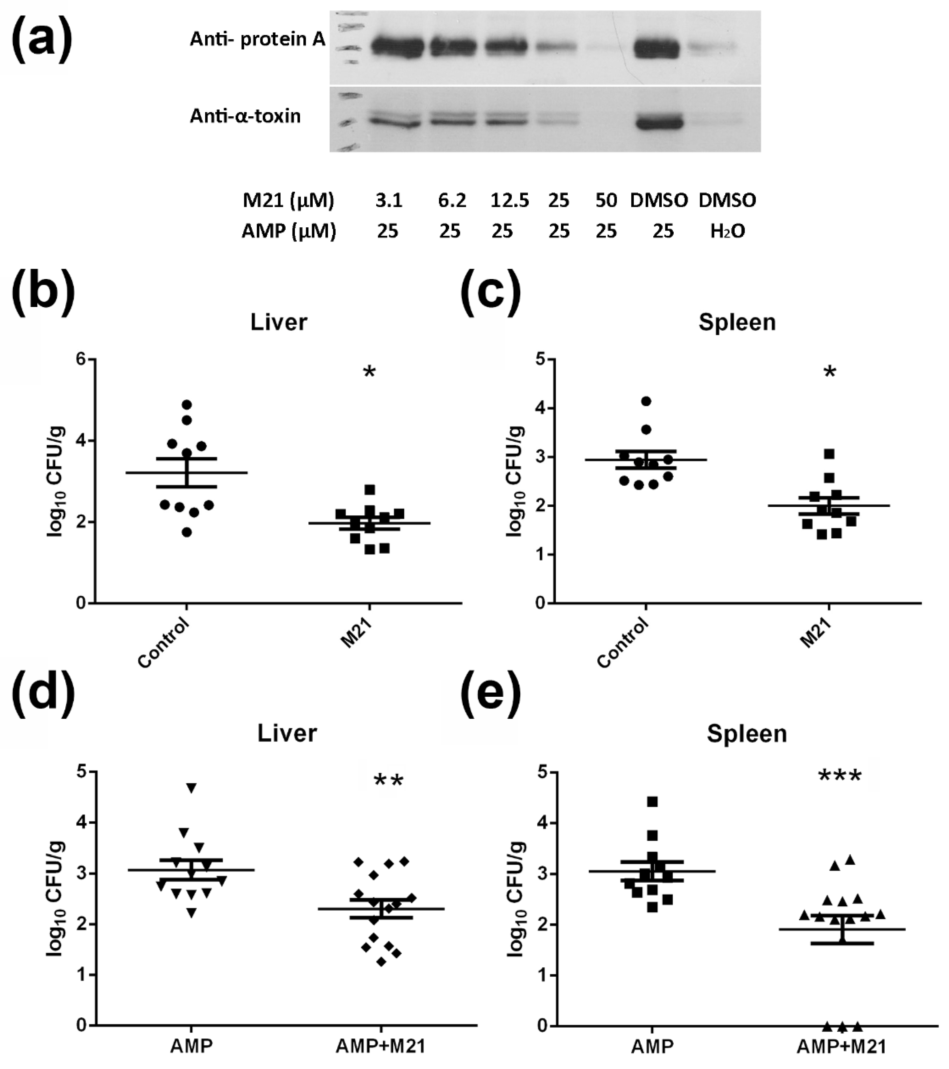 Antibiotics 11 00819 g002