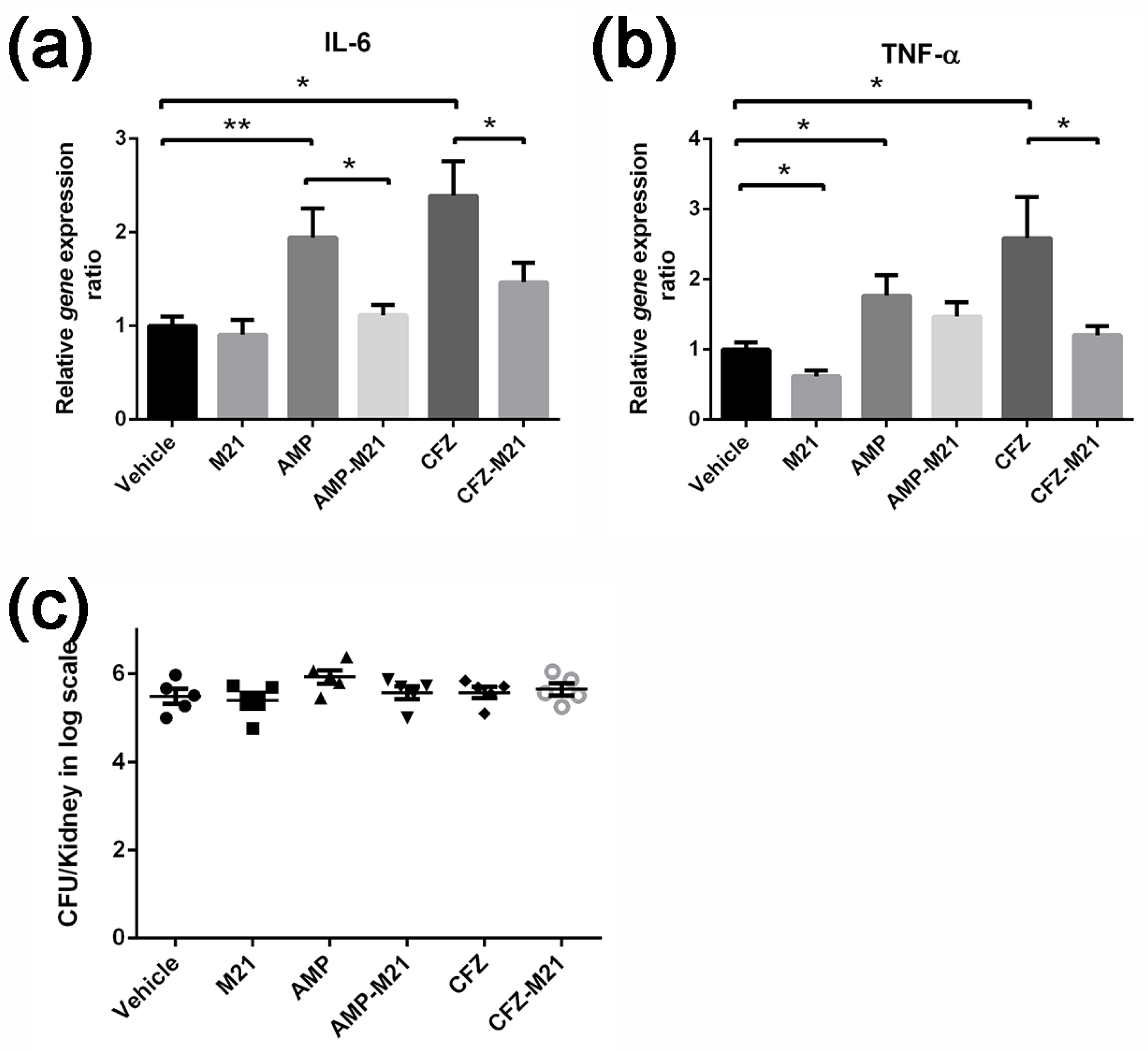 Antibiotics 11 00819 g004