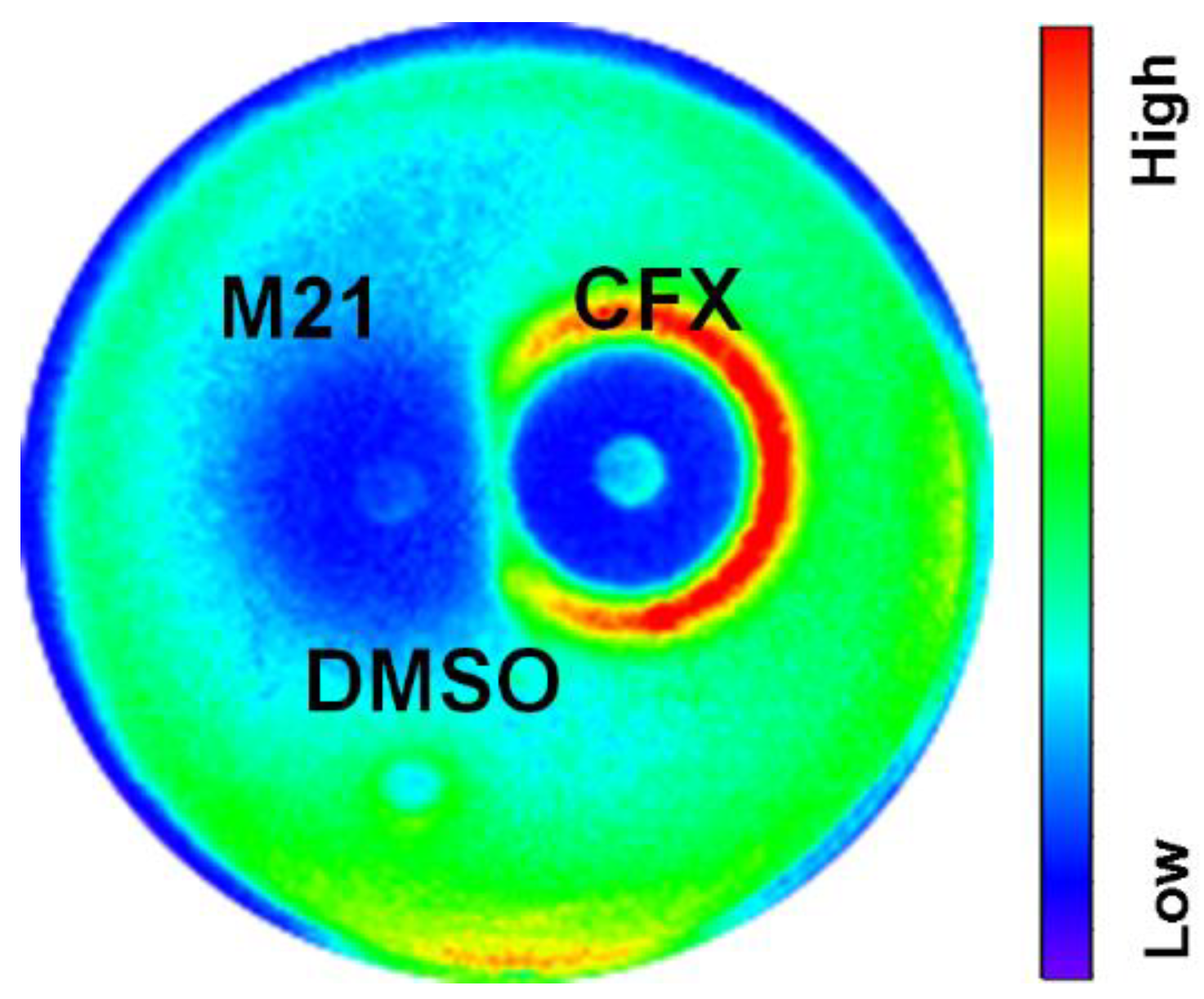 Antibiotics 11 00819 g005