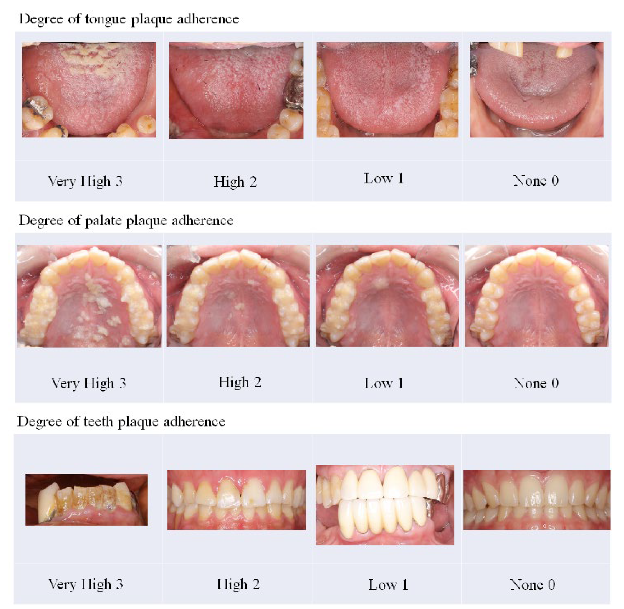 Antibiotics 11 00825 g005 550