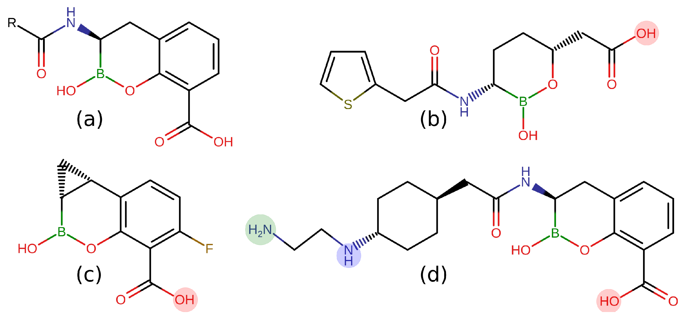 Antibiotics 11 00840 g001 550