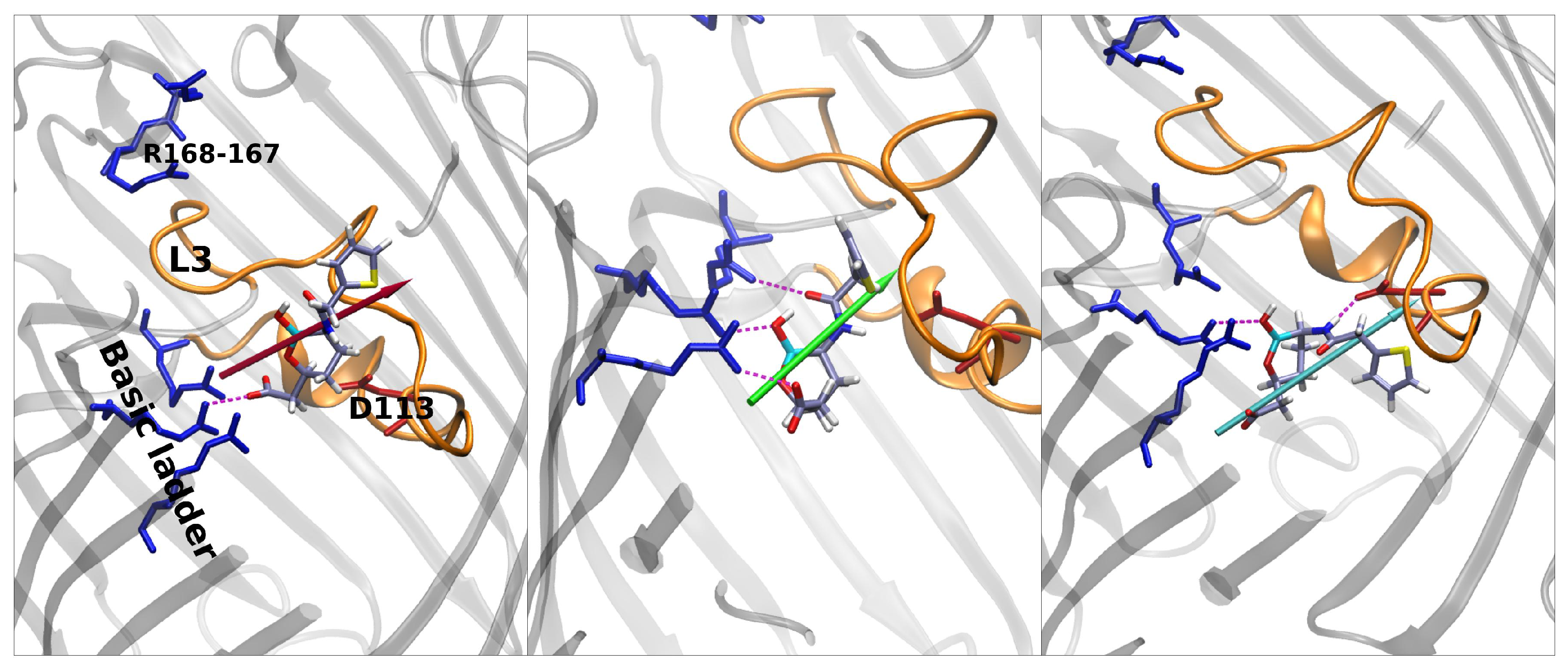 Antibiotics 11 00840 g006 550