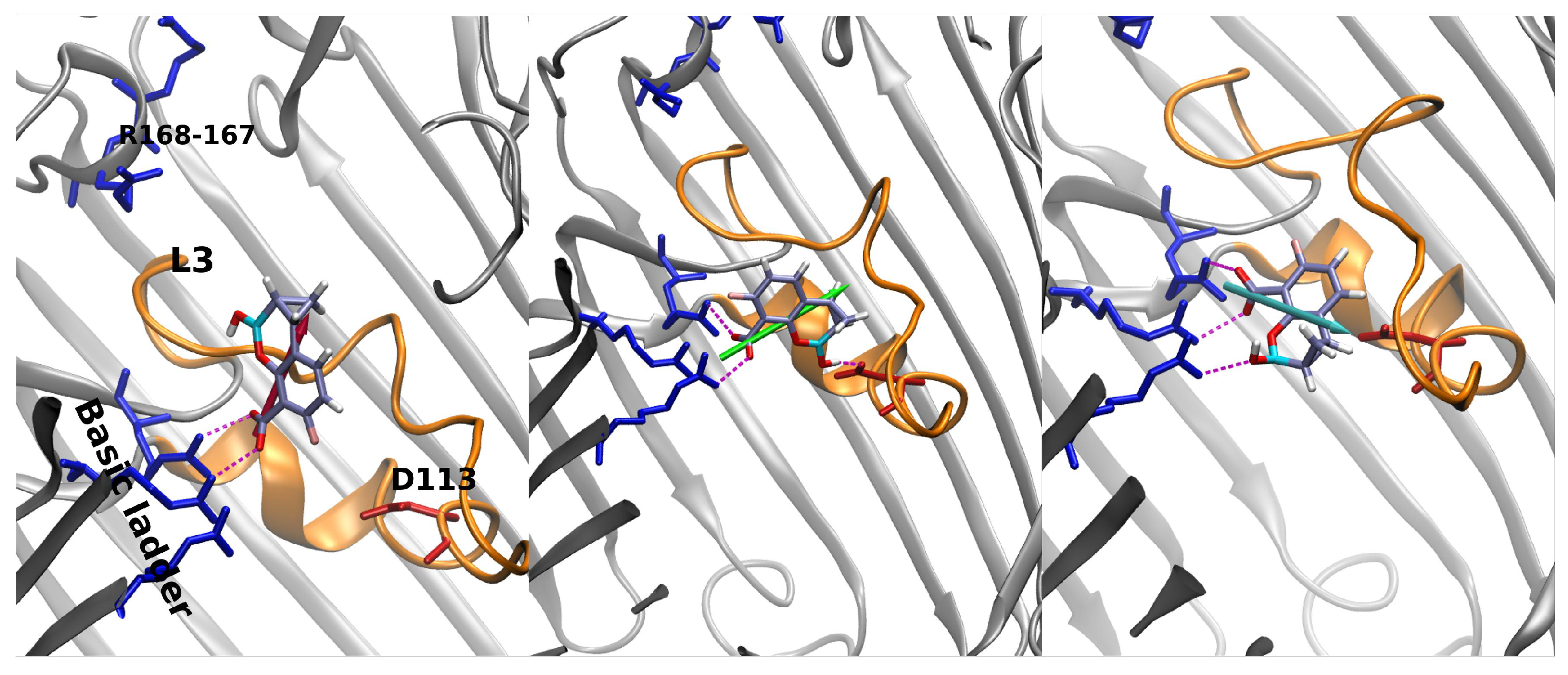 Antibiotics 11 00840 g007 550