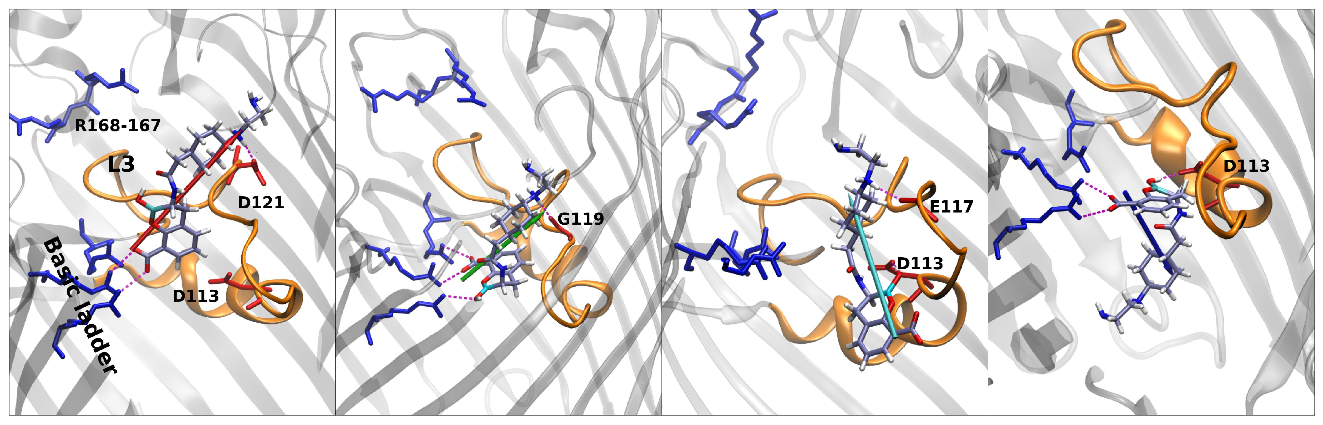 Antibiotics 11 00840 g008 550