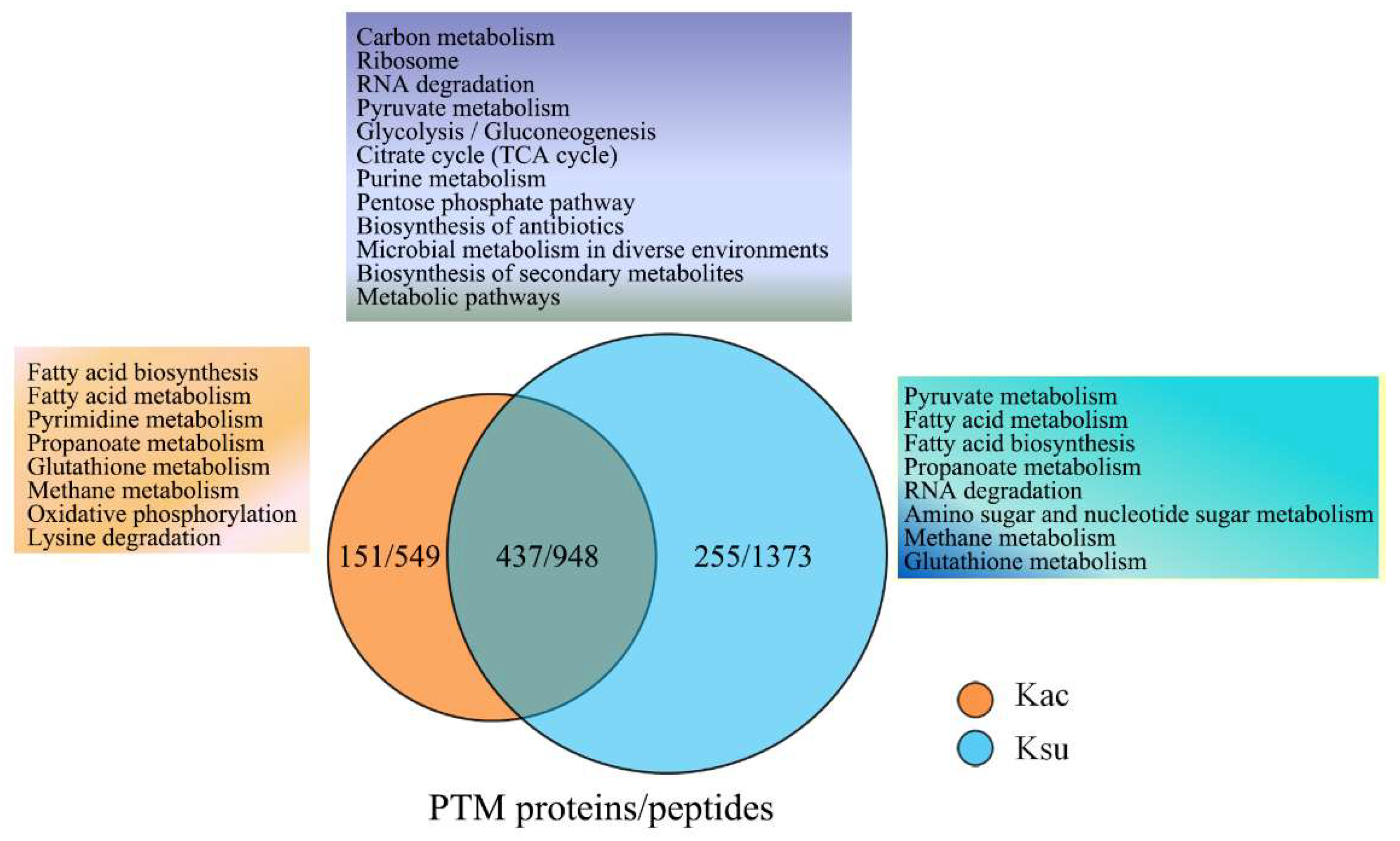 Antibiotics 11 00841 g004 550