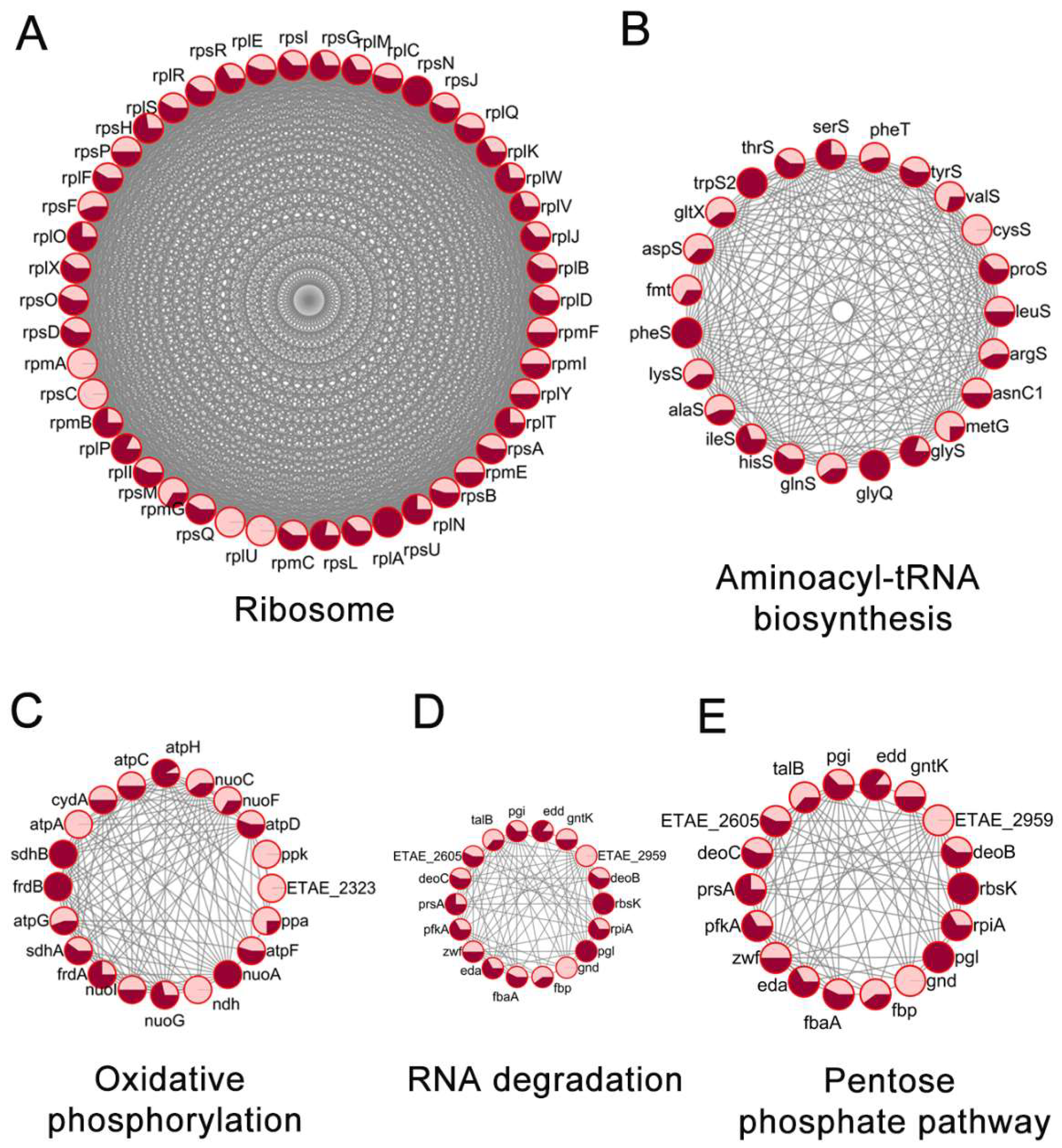 Antibiotics 11 00841 g005 550