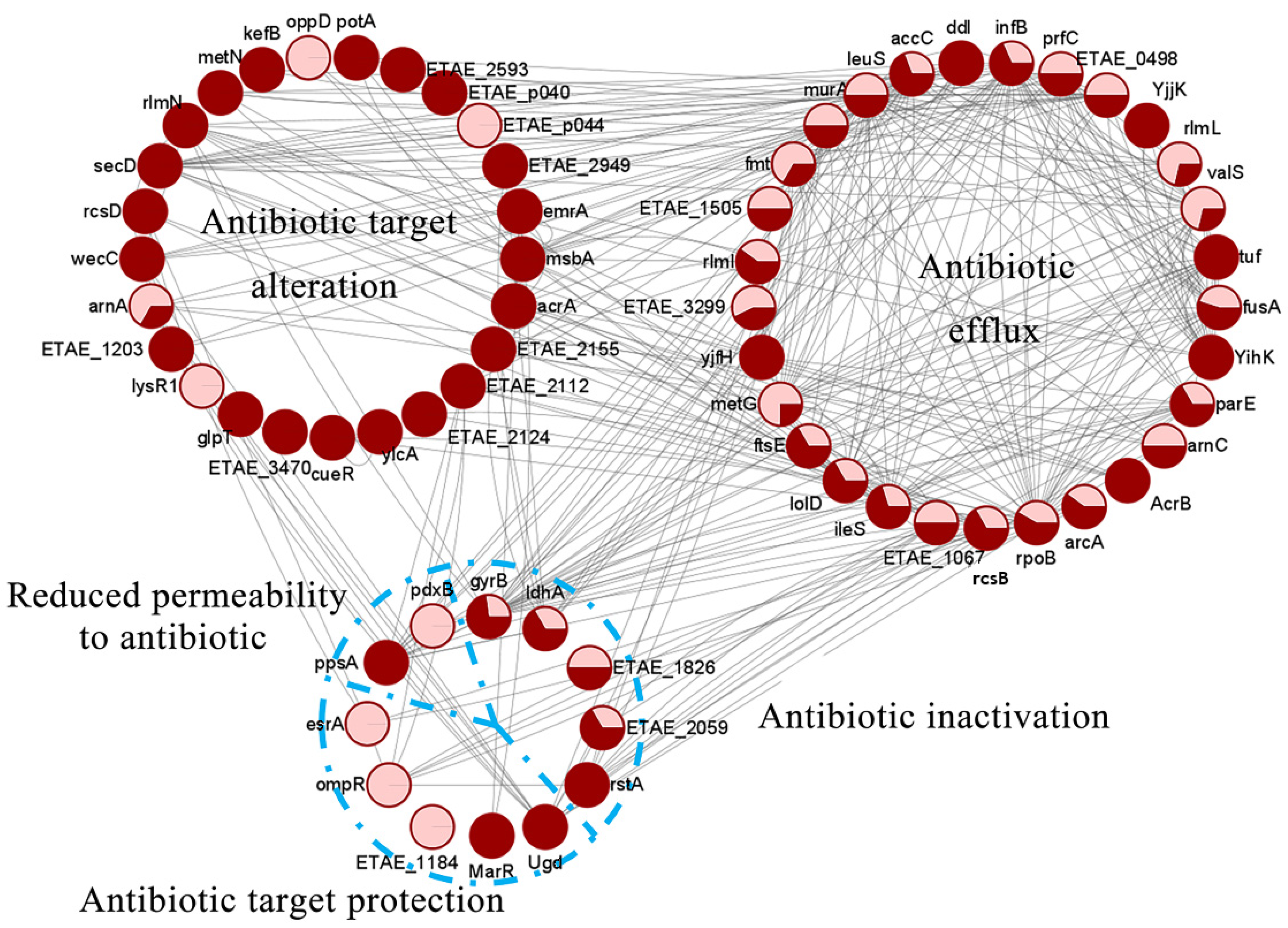 Antibiotics 11 00841 g006 550