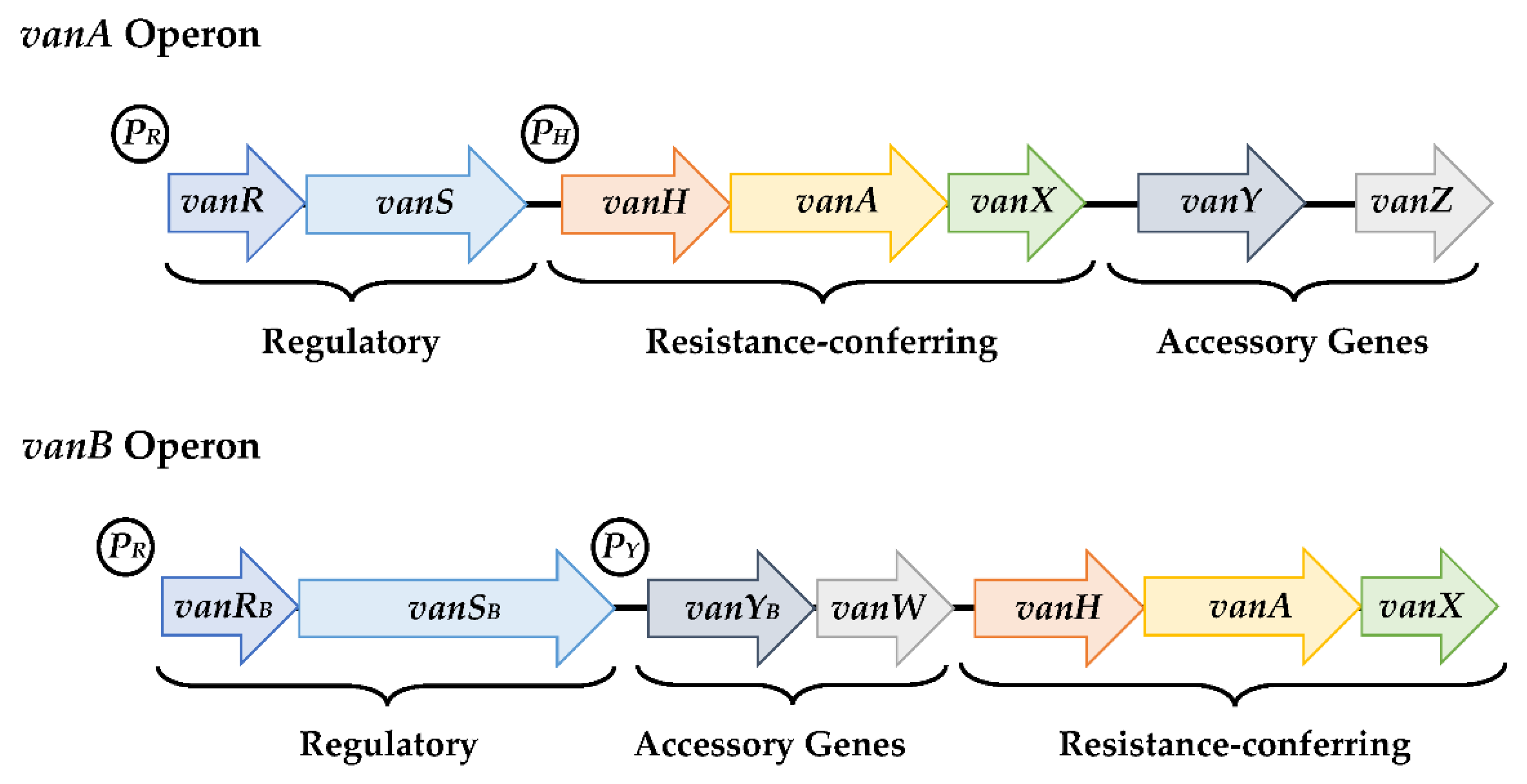 Antibiotics 11 00857 g002 Antibiotics 11 00857 g002