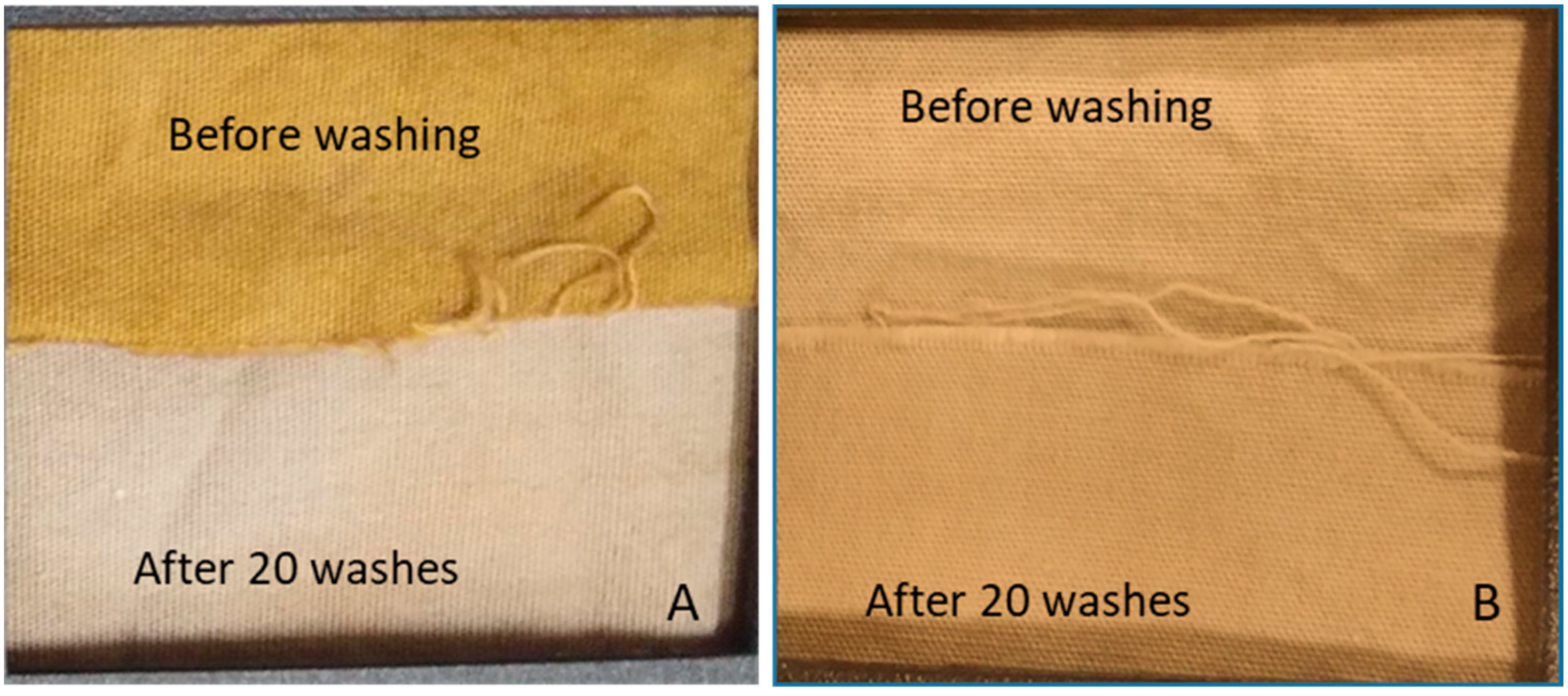 Antibiotics 11 00864 g002