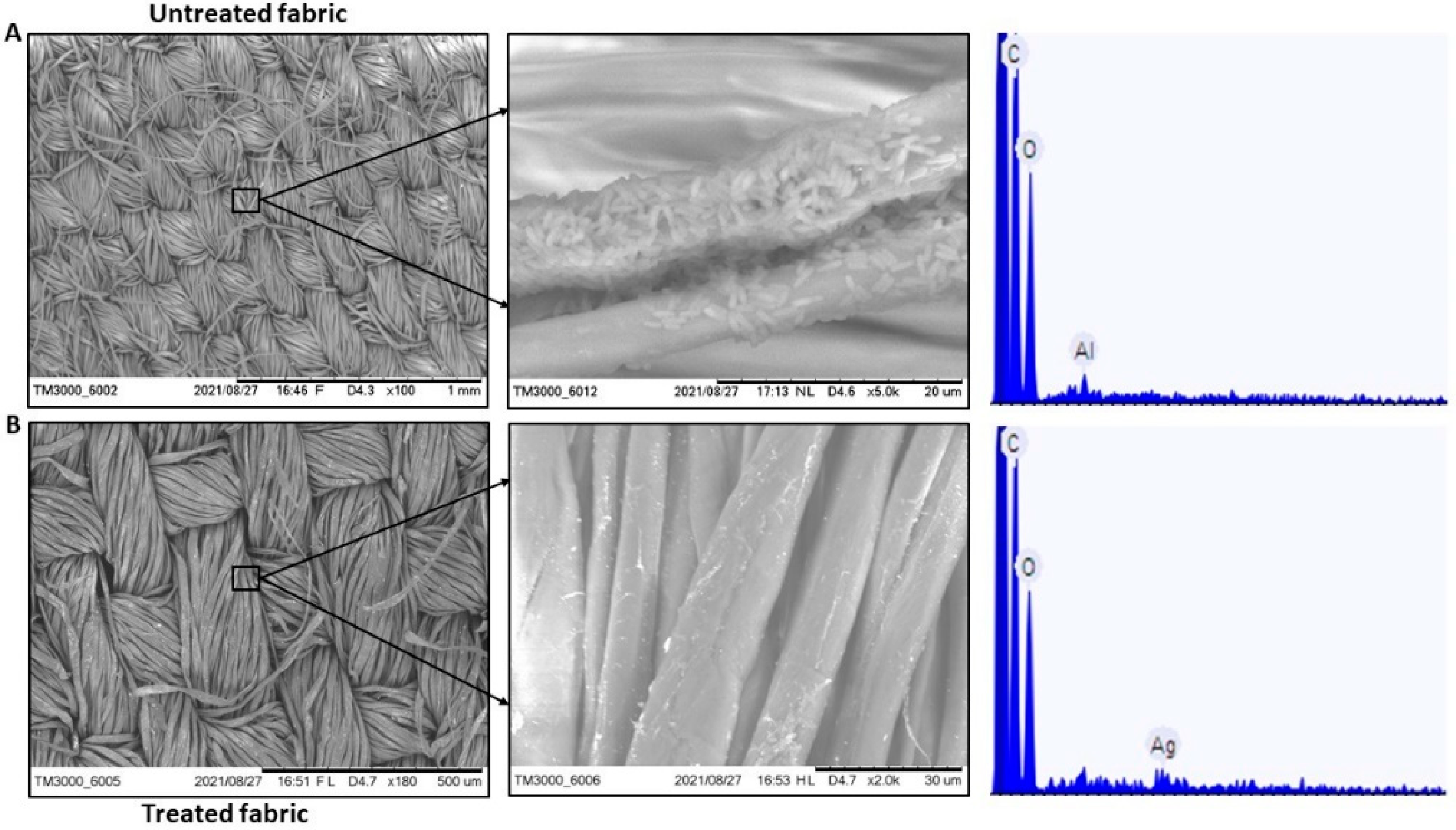 Antibiotics 11 00864 g008