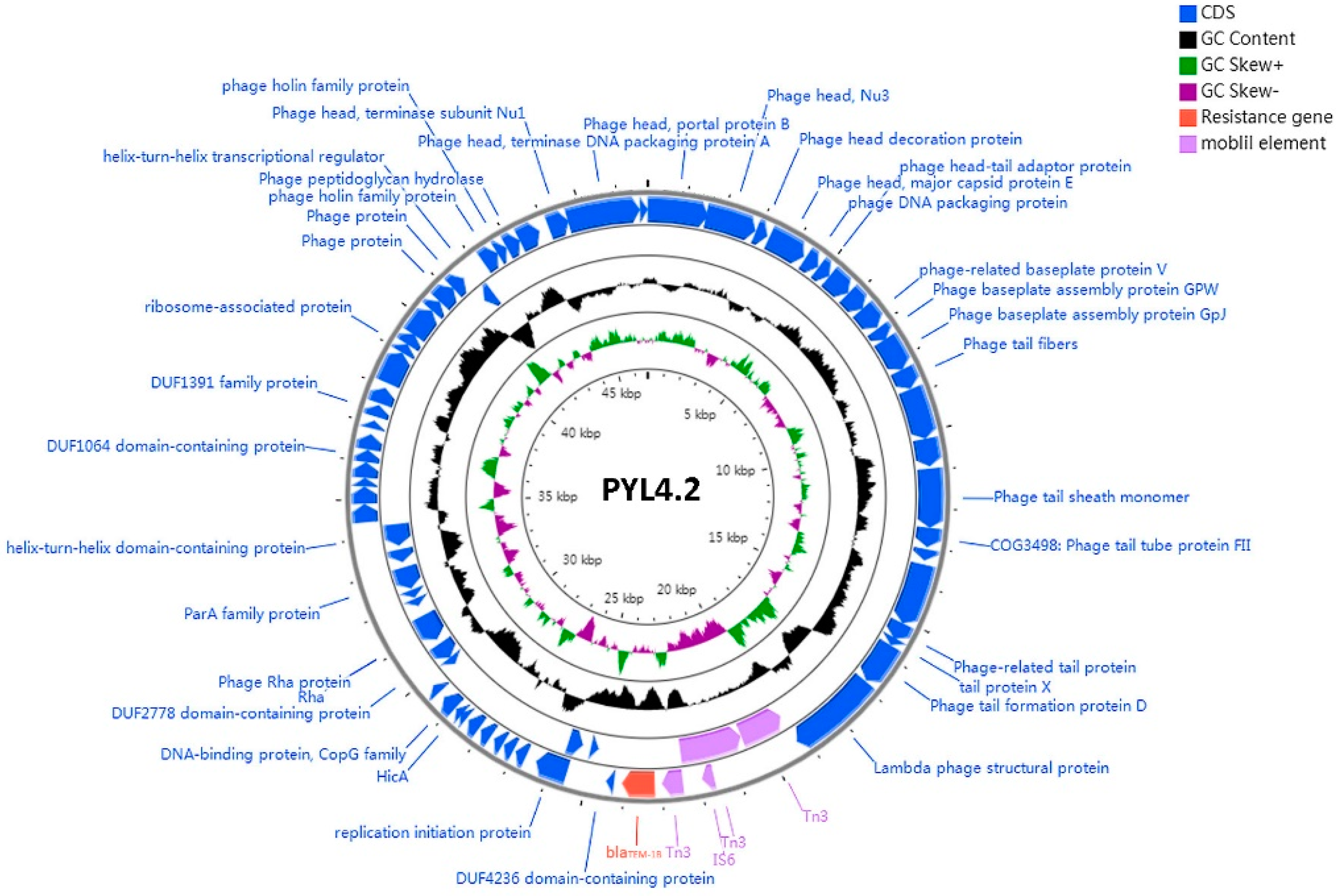 Antibiotics | Free Full-Text | Occurrence of Serratia marcescens Antibiotics | Free Full-Text | Occurrence of Serratia marcescens