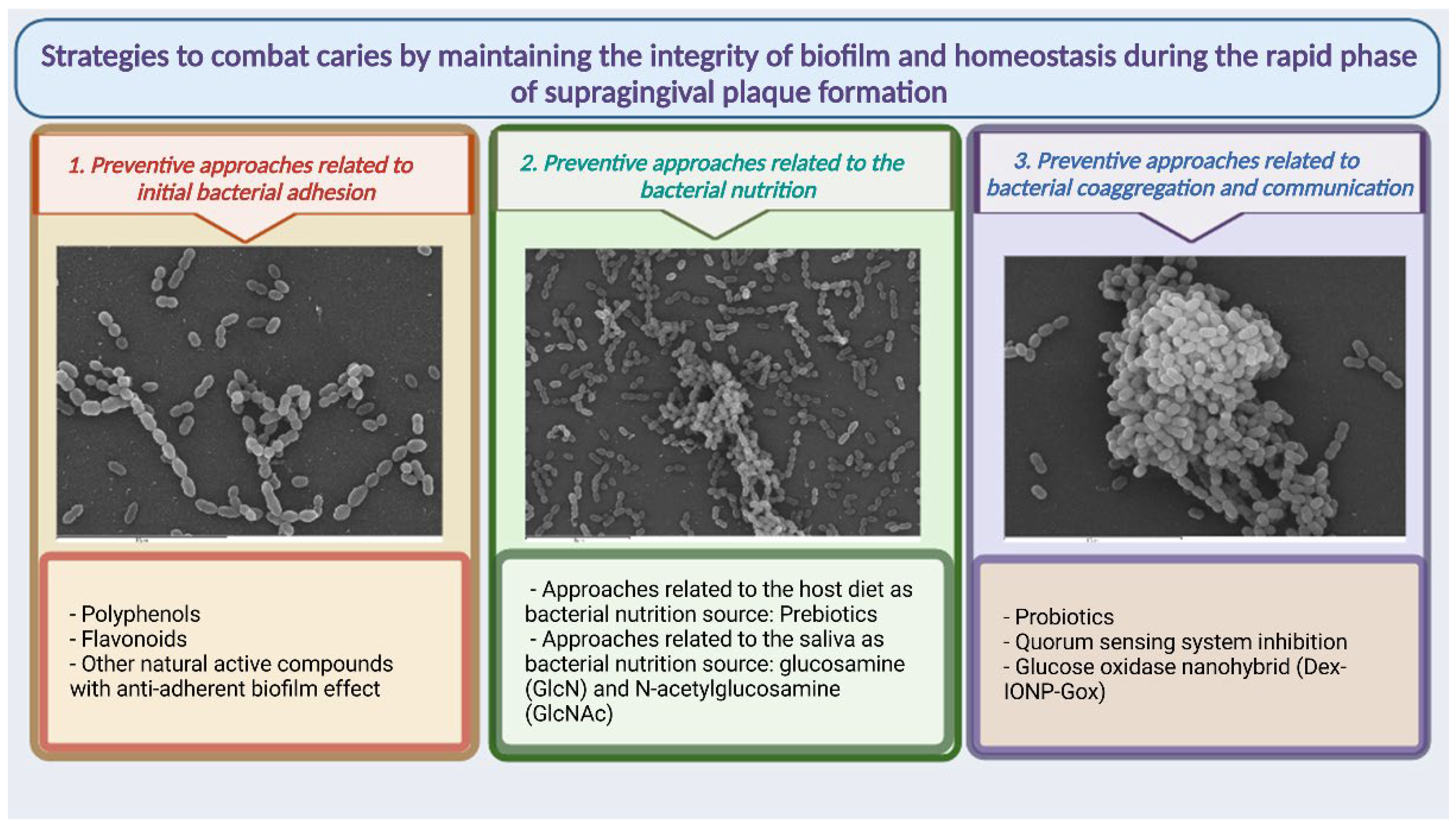 Antibiotics 11 00880 g002