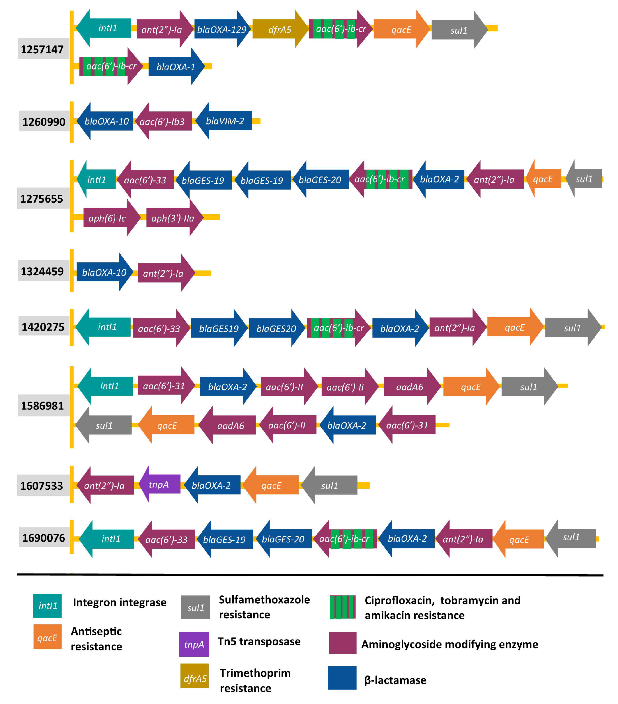 Antibiotics 11 00884 g002