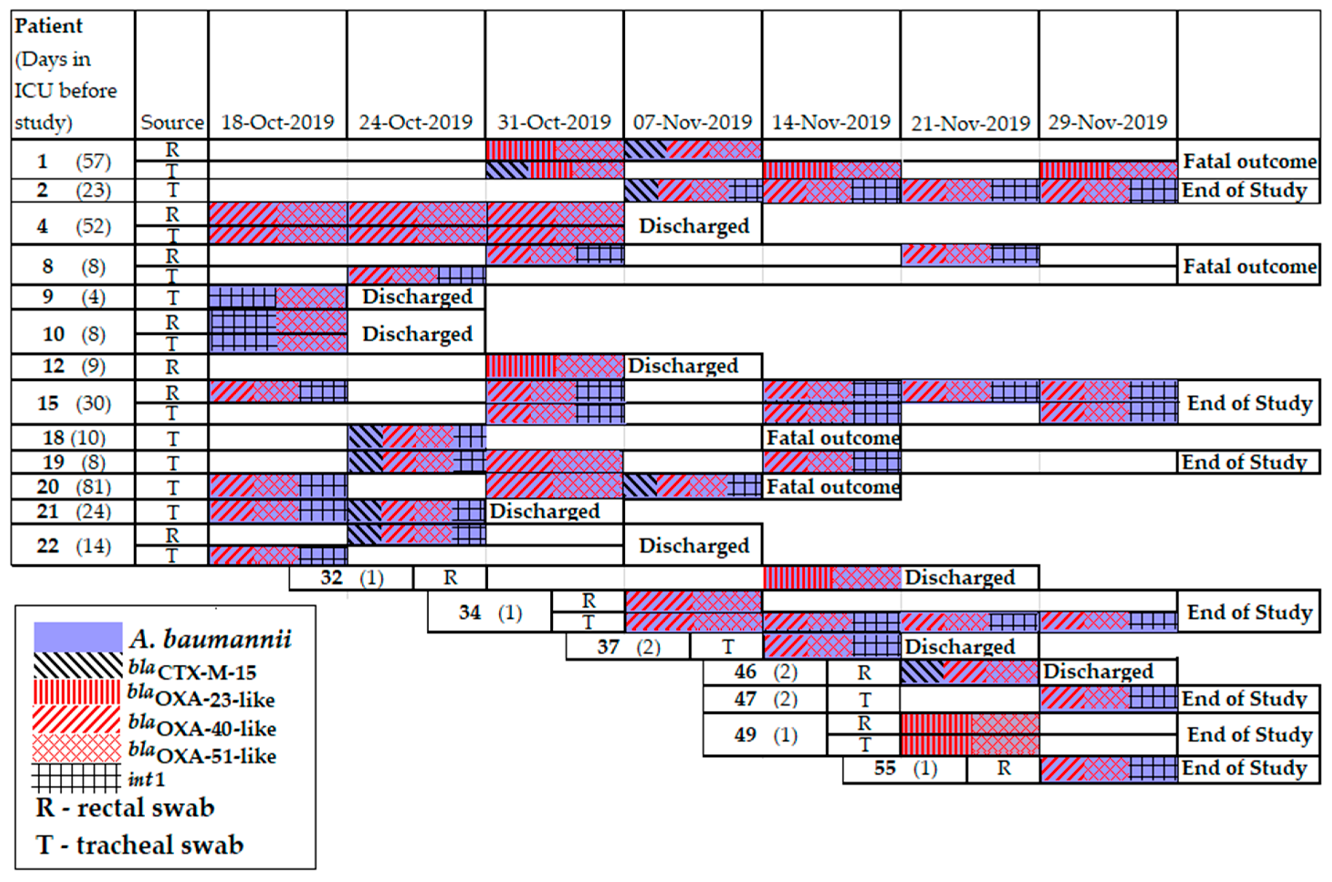 Antibiotics 11 00886 g008