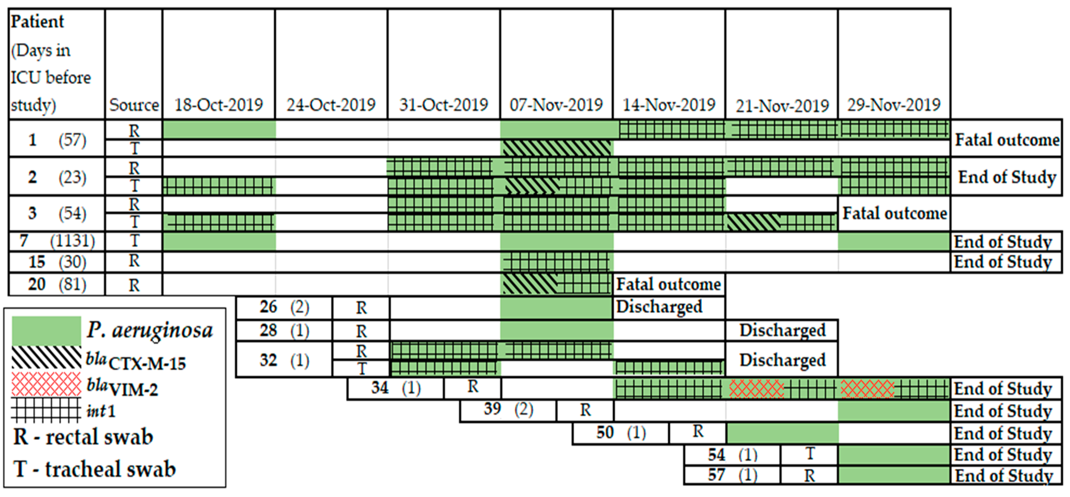 Antibiotics 11 00886 g009