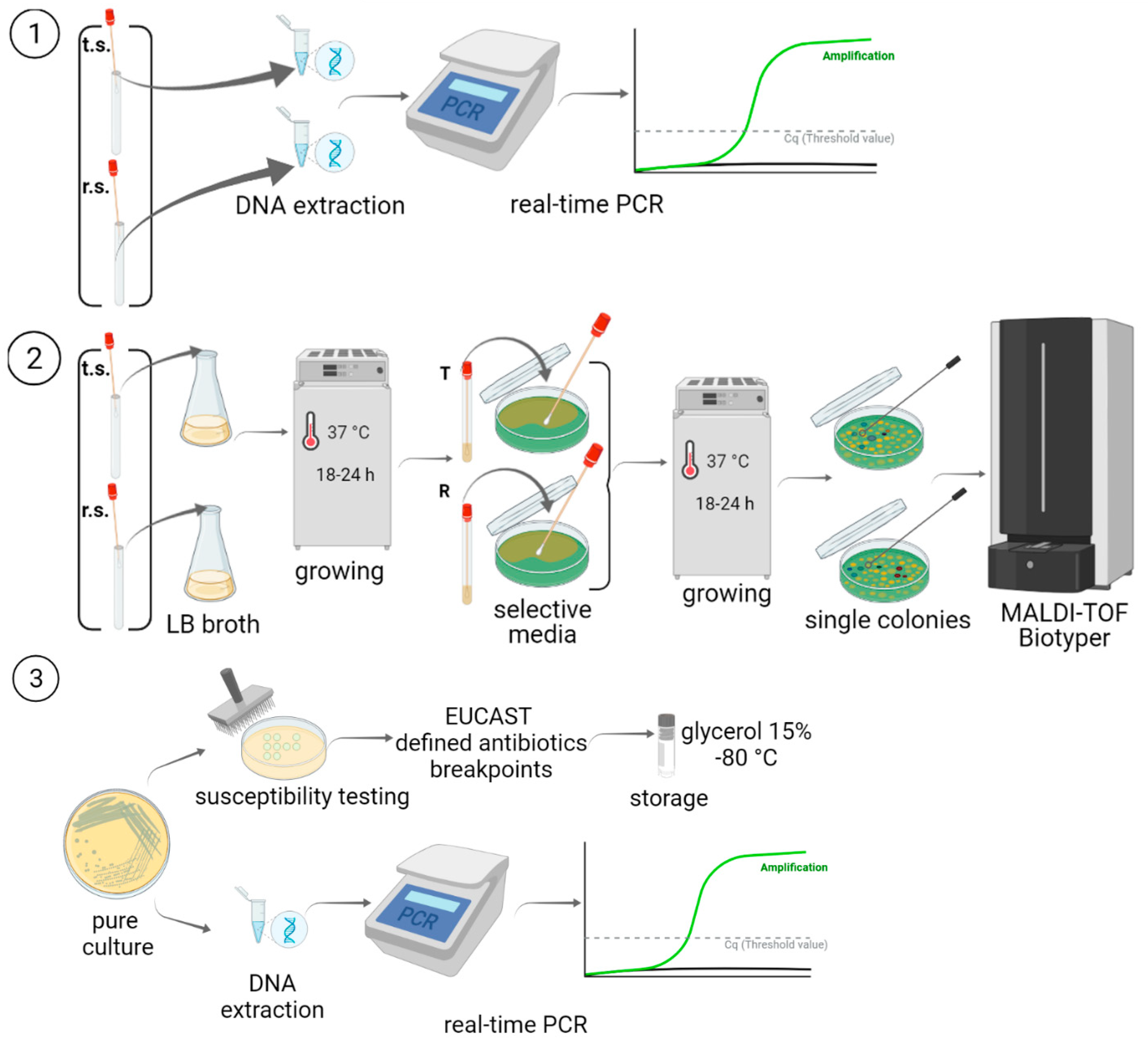 Antibiotics 11 00886 g010