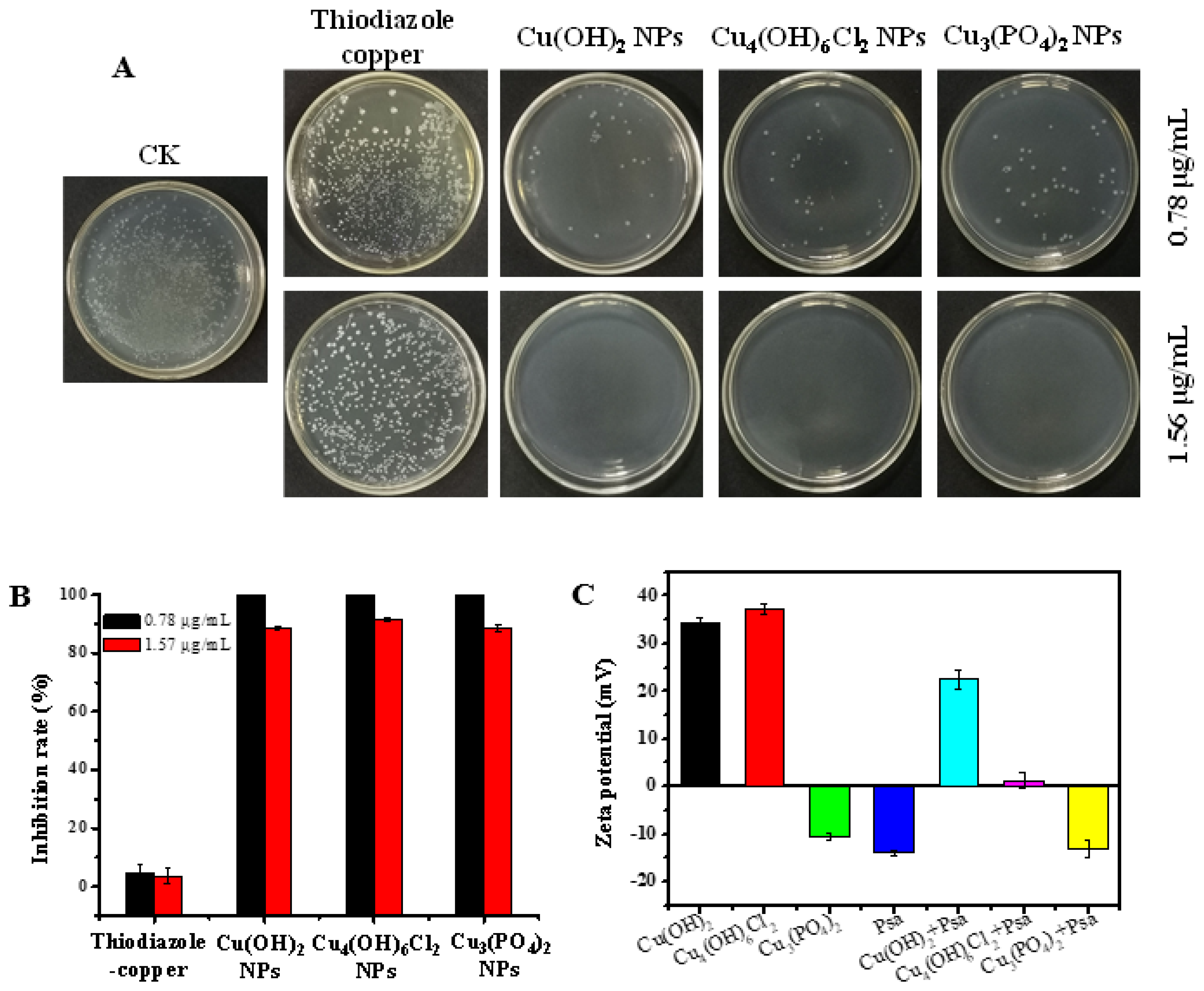 Antibiotics 11 00891 g002