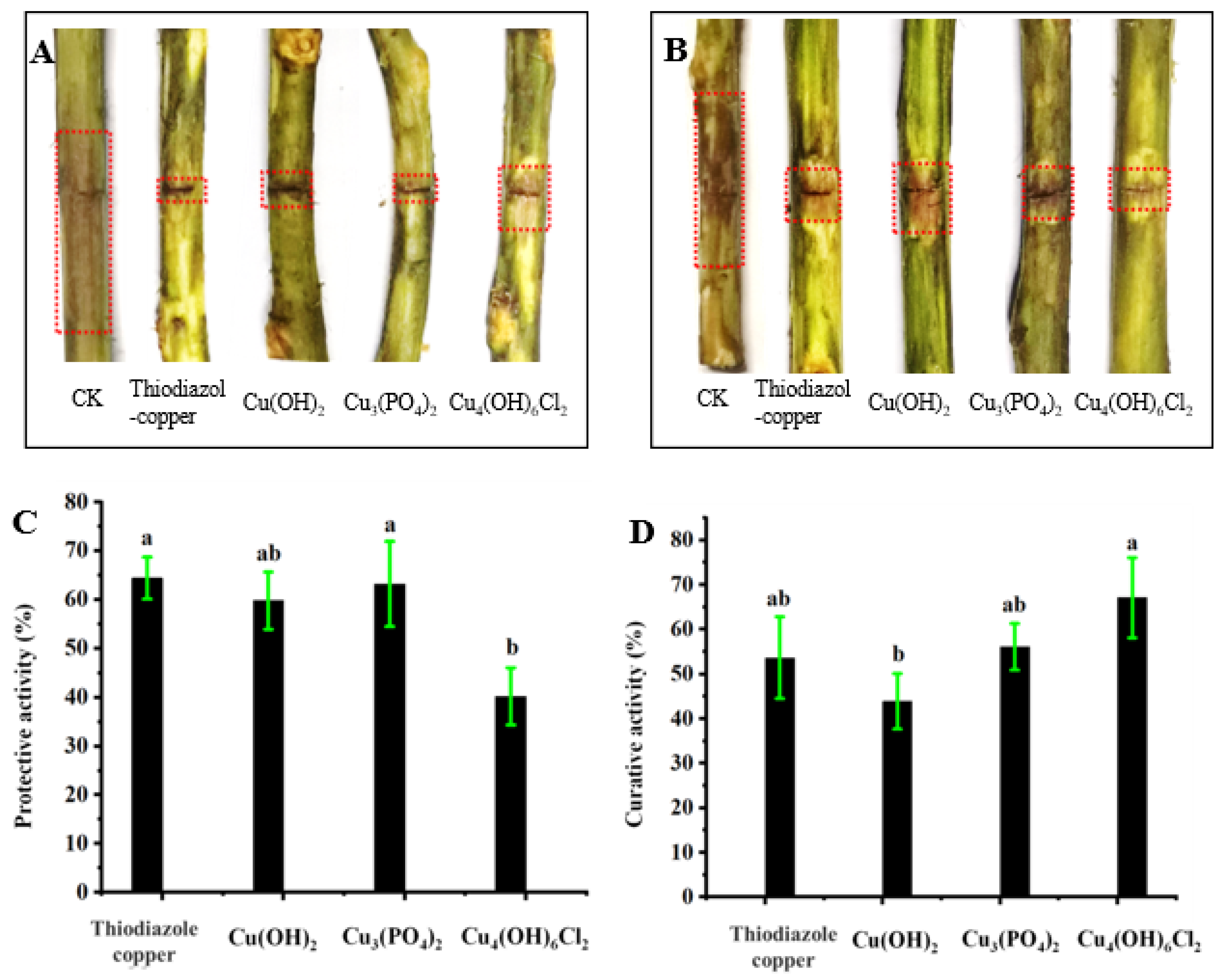 Antibiotics 11 00891 g004