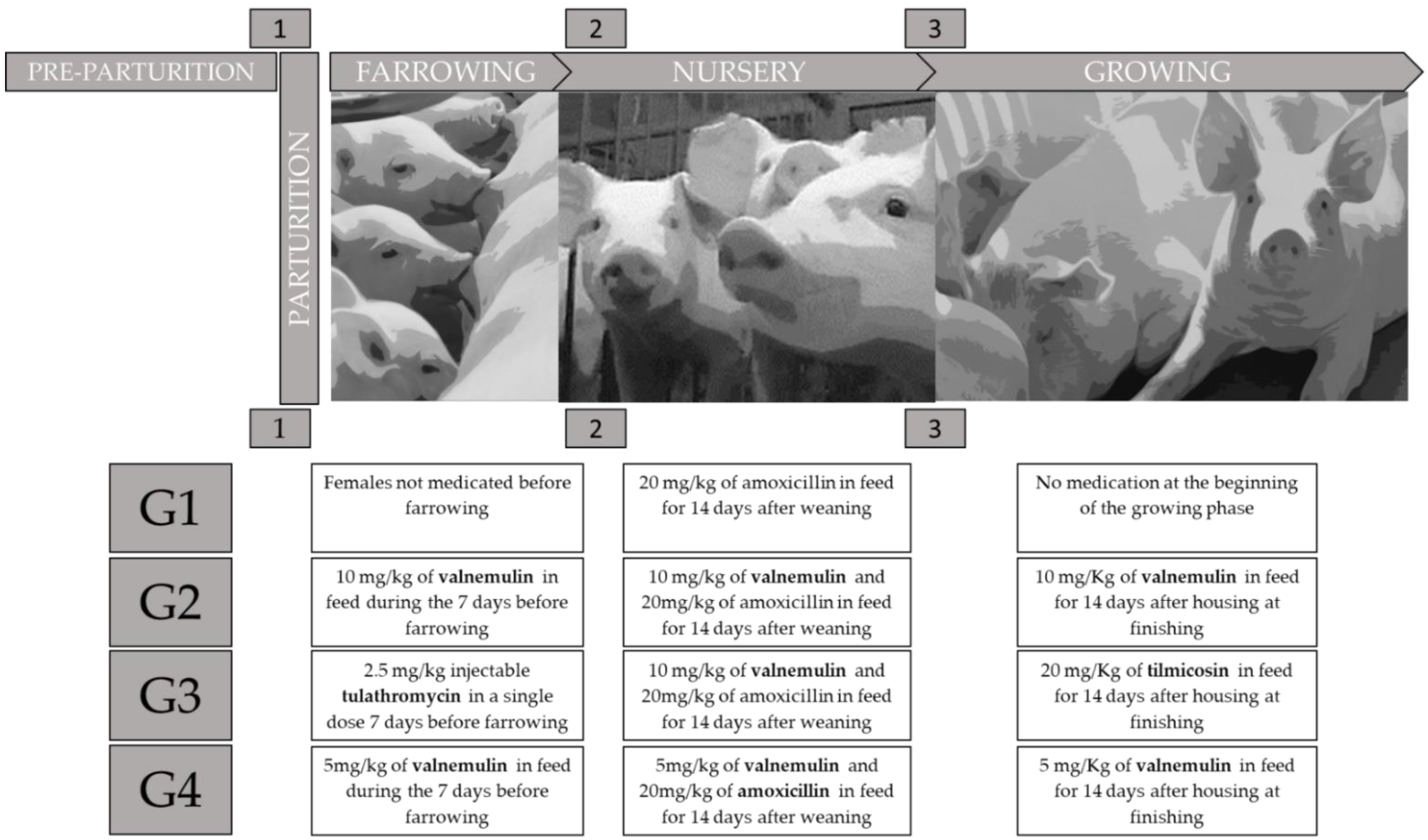 Antibiotics 11 00893 g004 Antibiotics 11 00893 g004