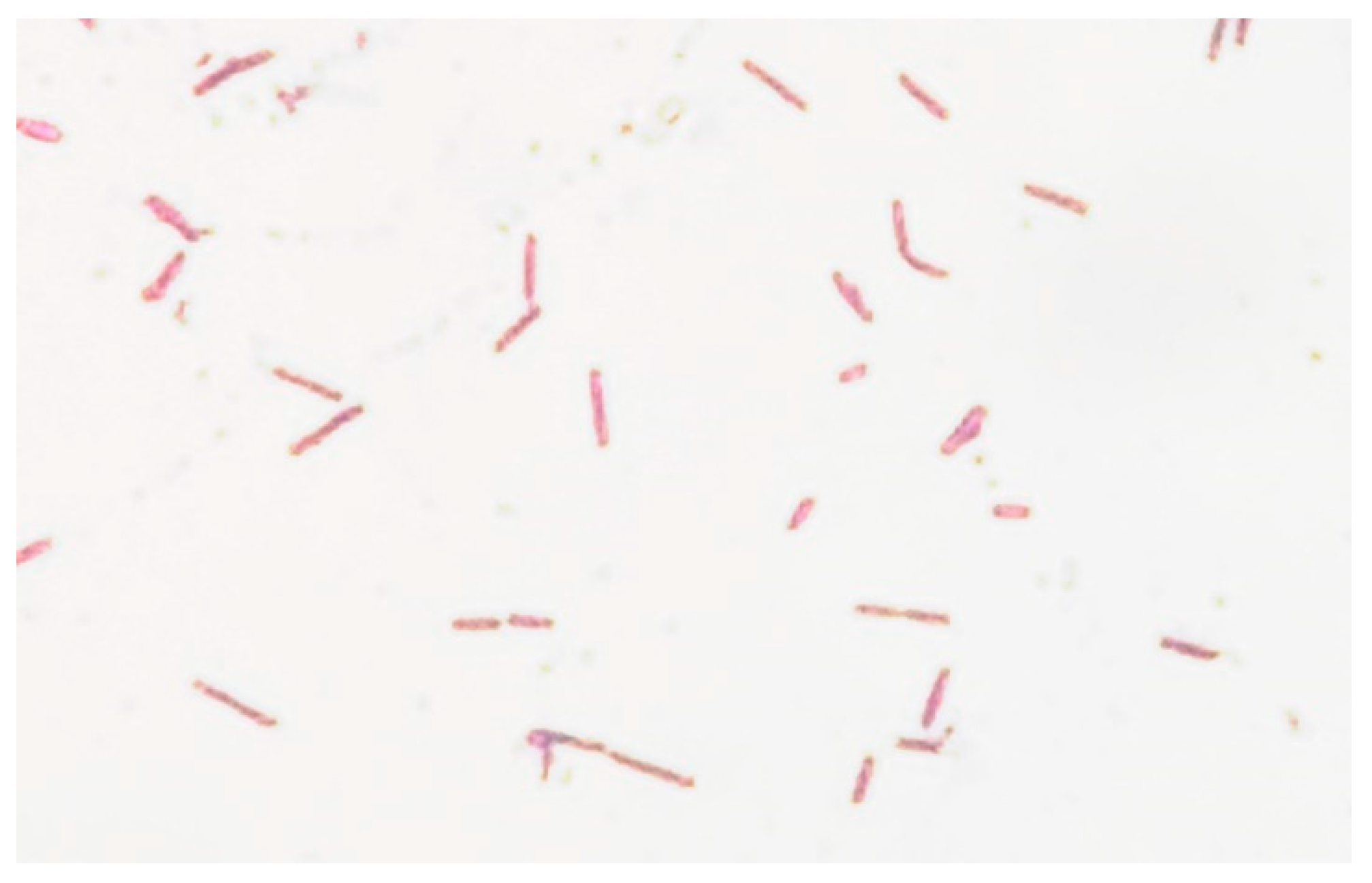 Antibiotics 11 00905 g005