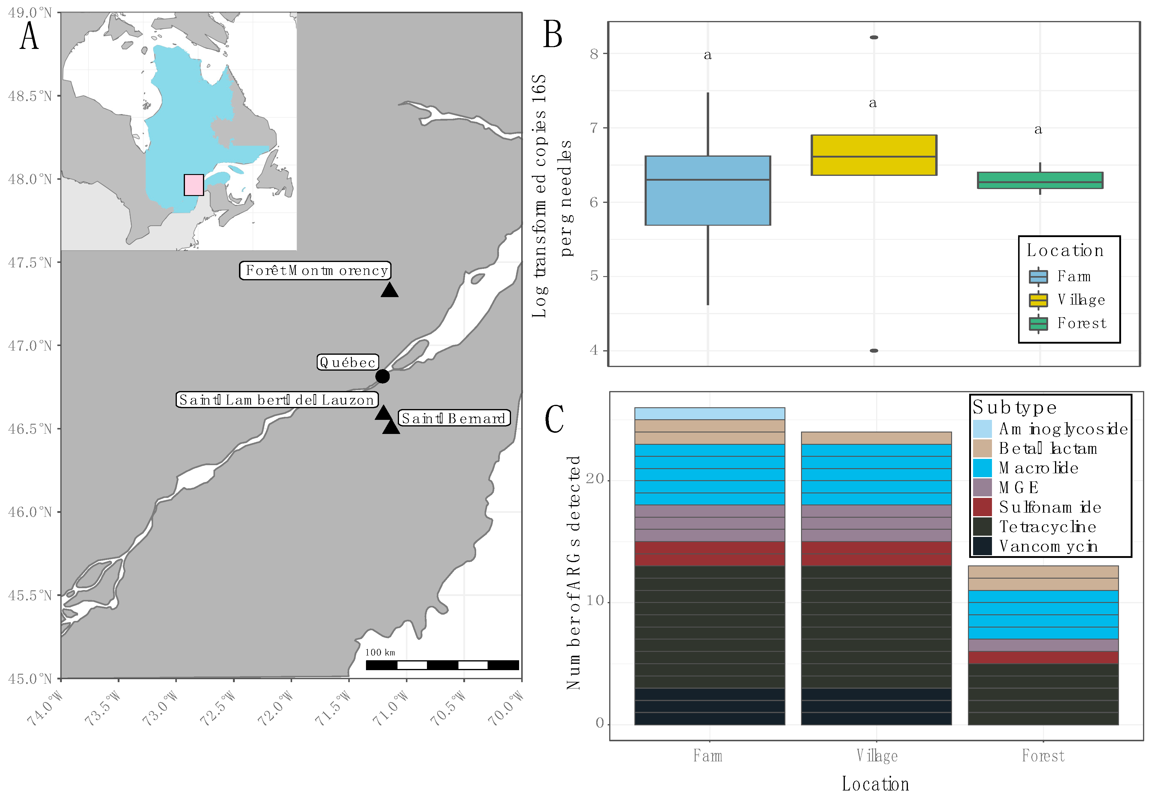 Antibiotics 11 00907 g001 550