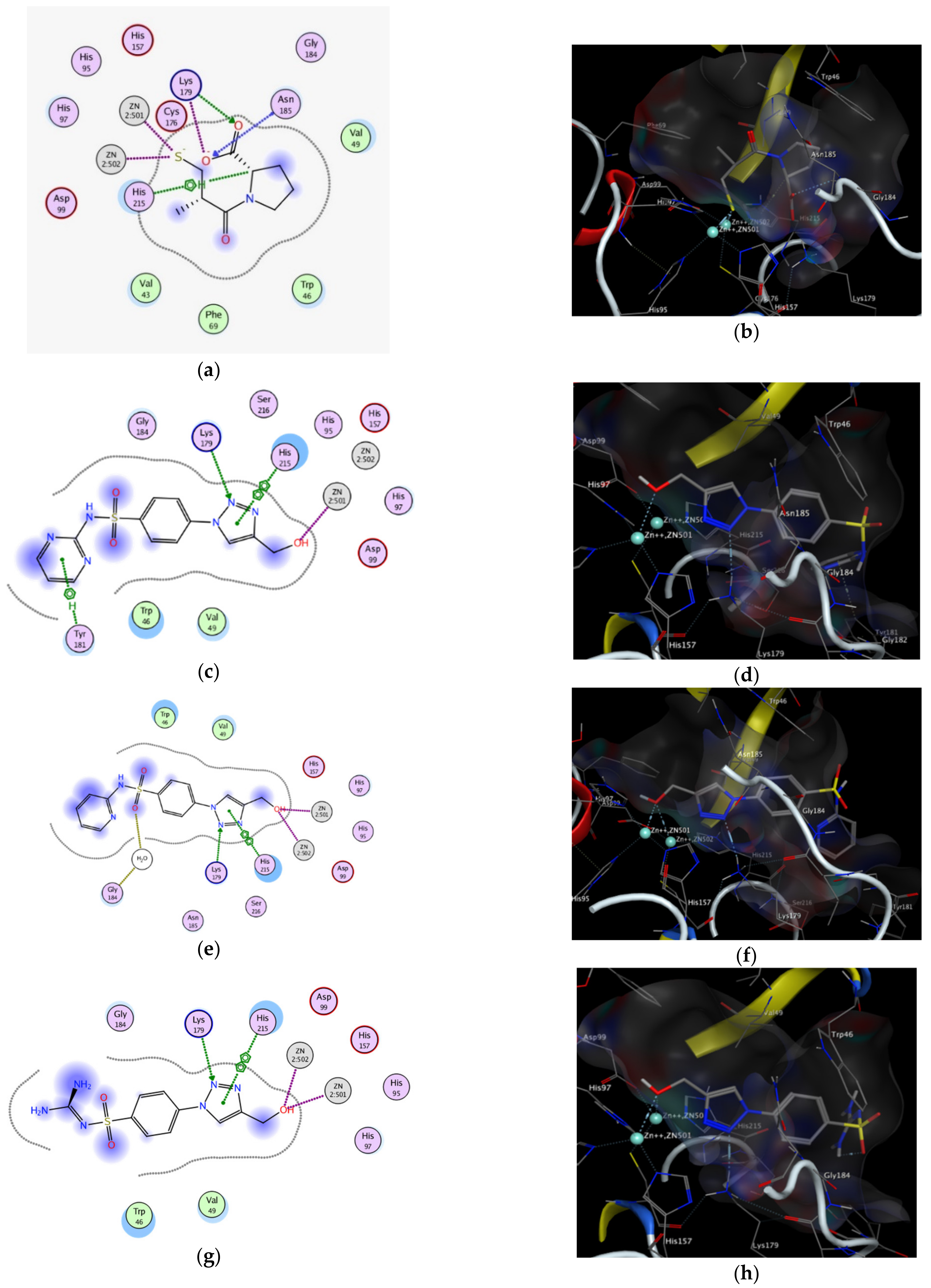 Antibiotics 11 00916 g004