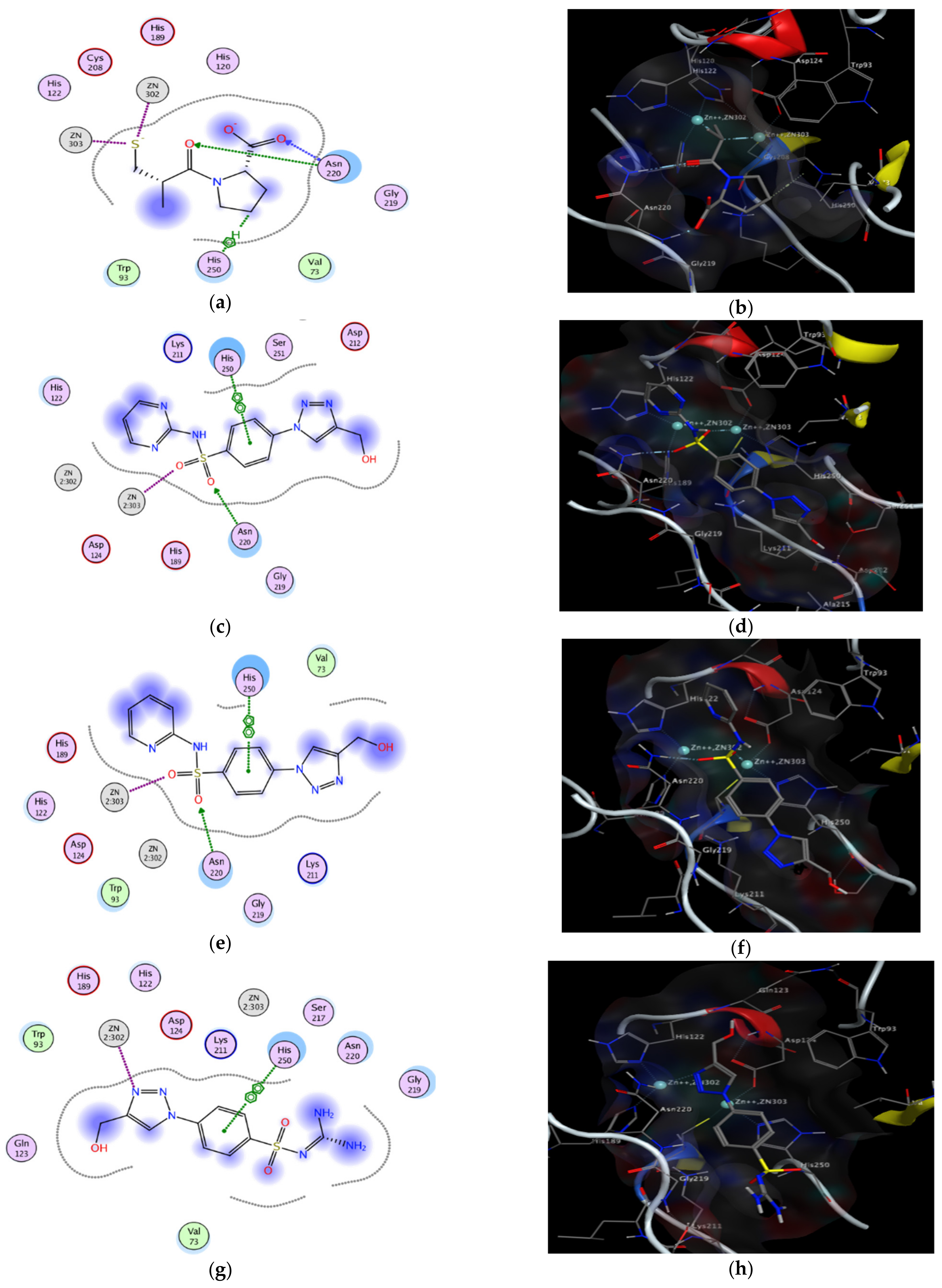 Antibiotics 11 00916 g006