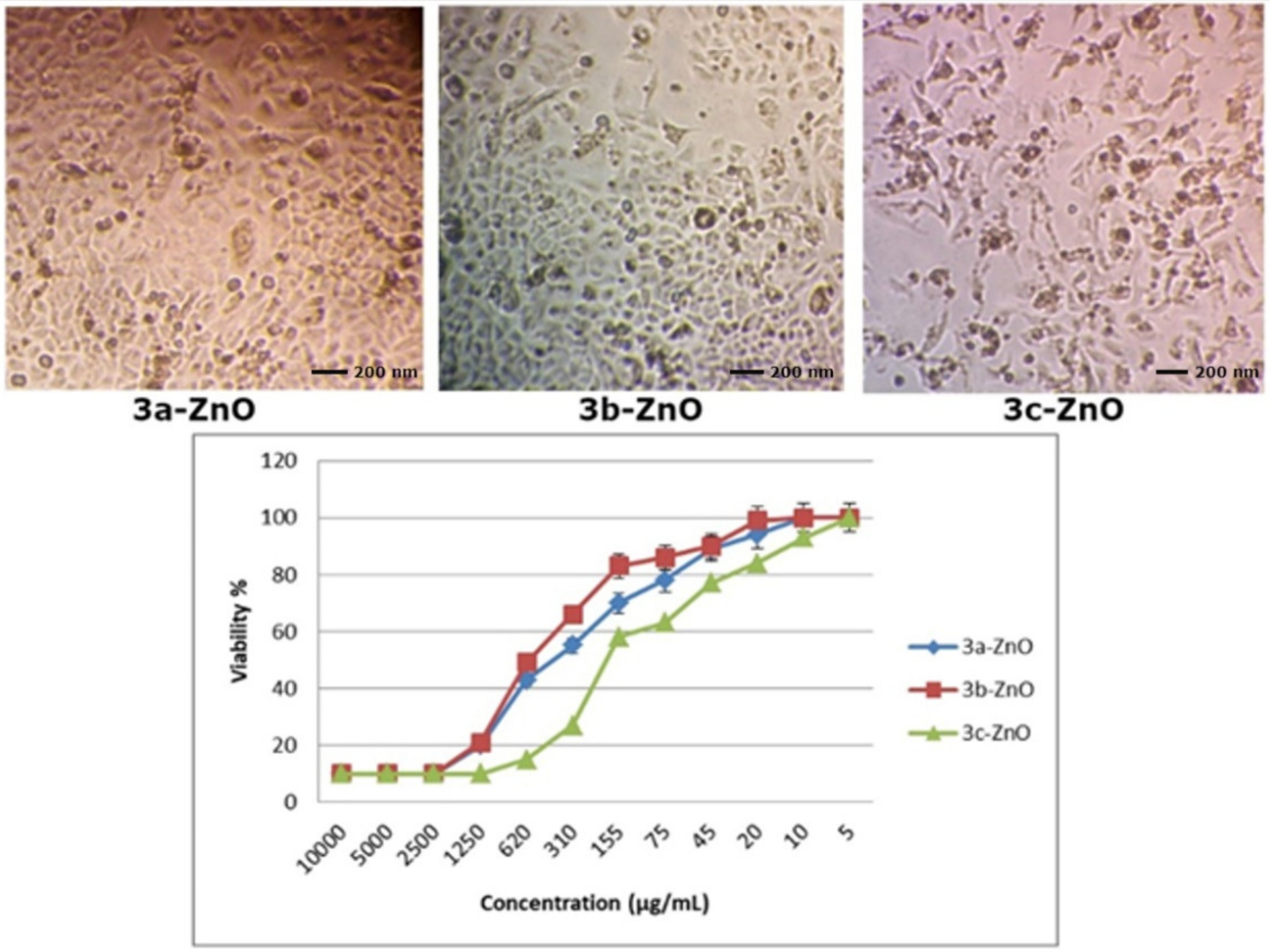 Antibiotics 11 00916 g010