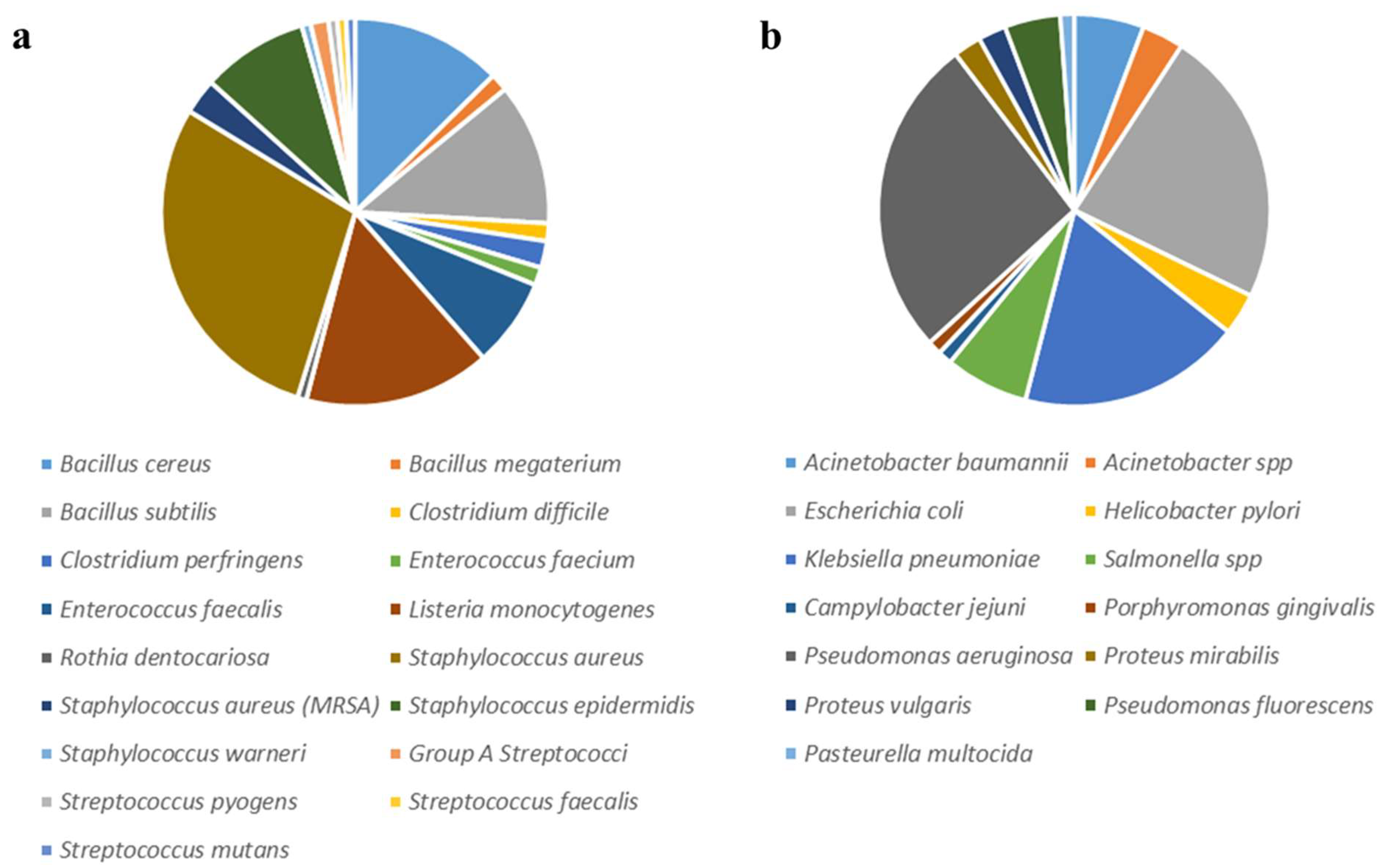 Antibiotics 11 00919 g001