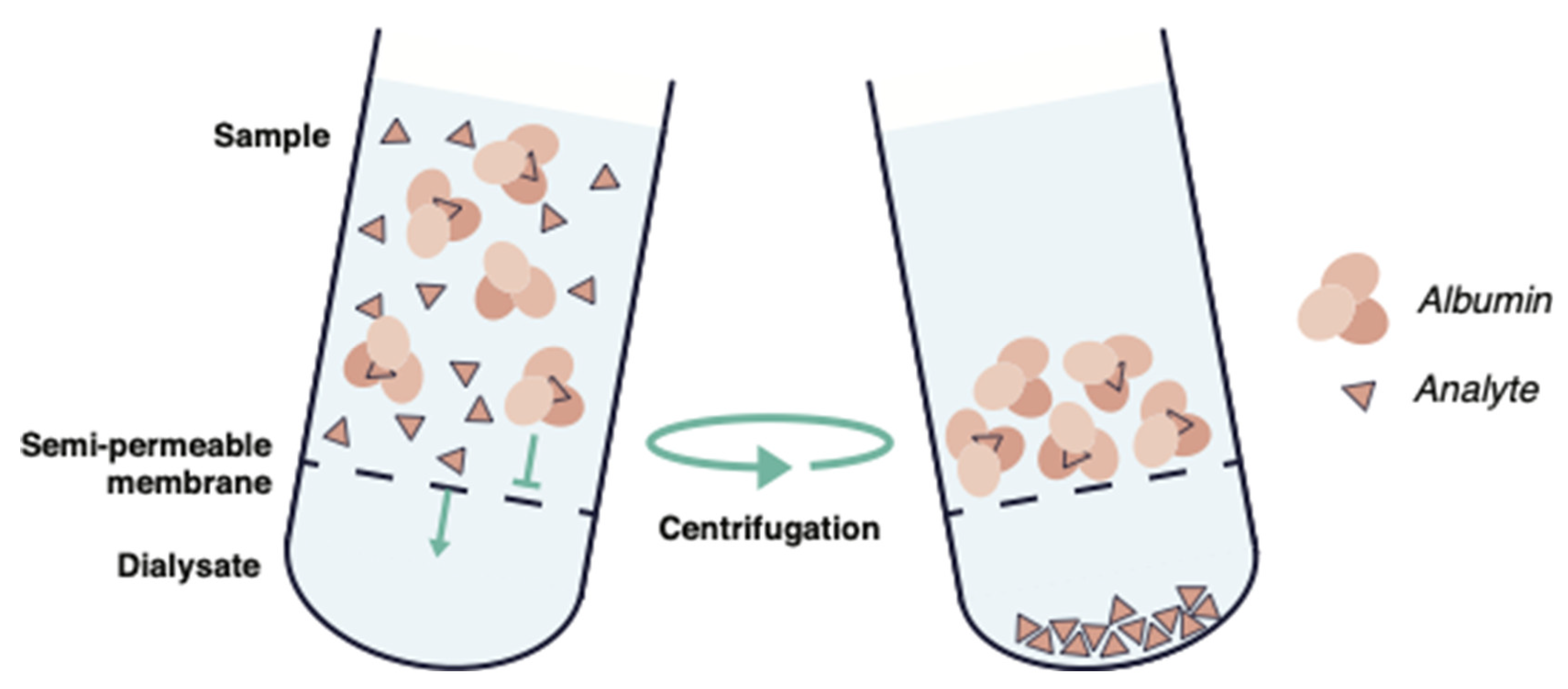 Antibiotics Free FullText Protein Binding in Translational